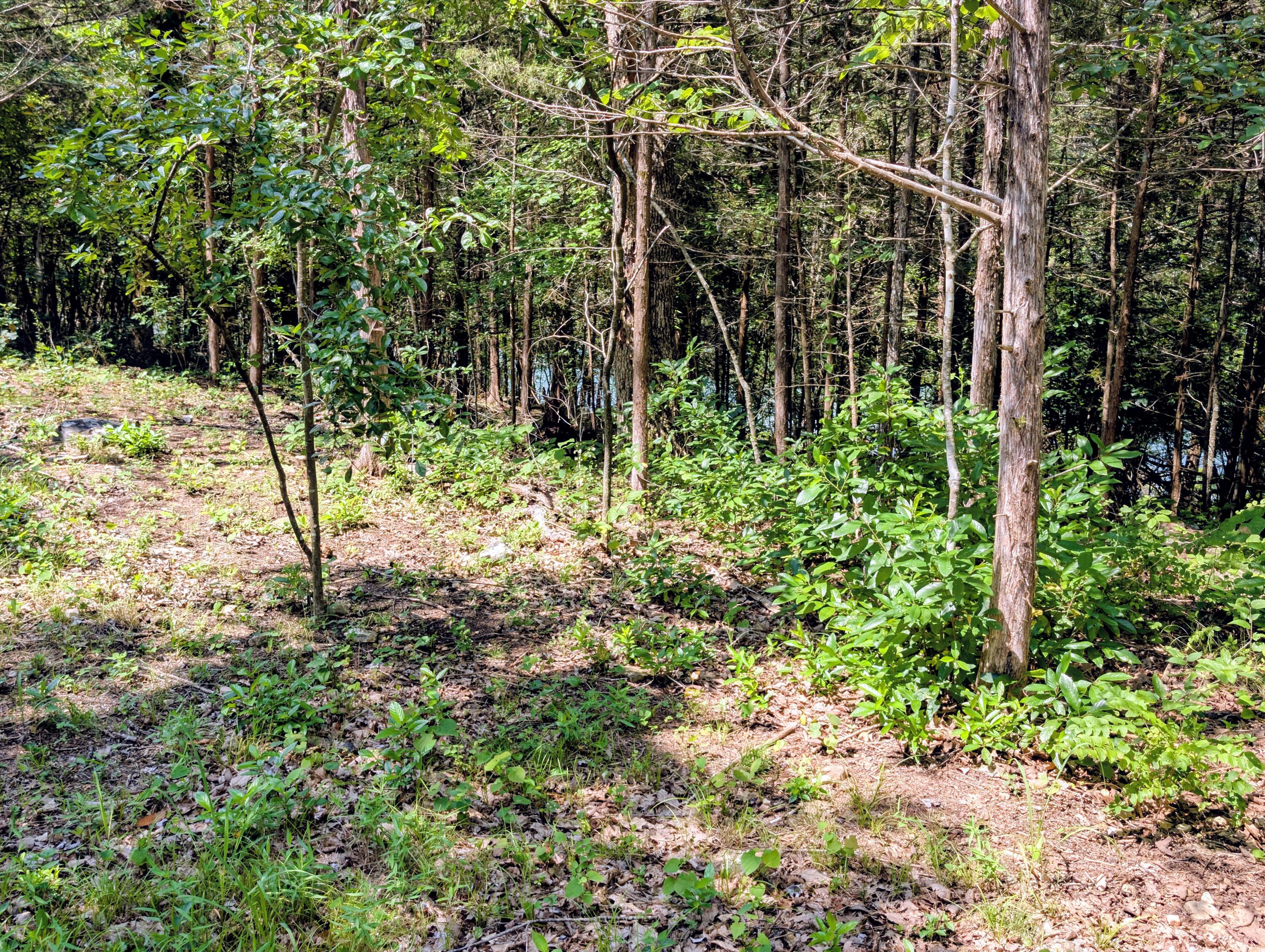 721 Pack Lane Property Photo 19