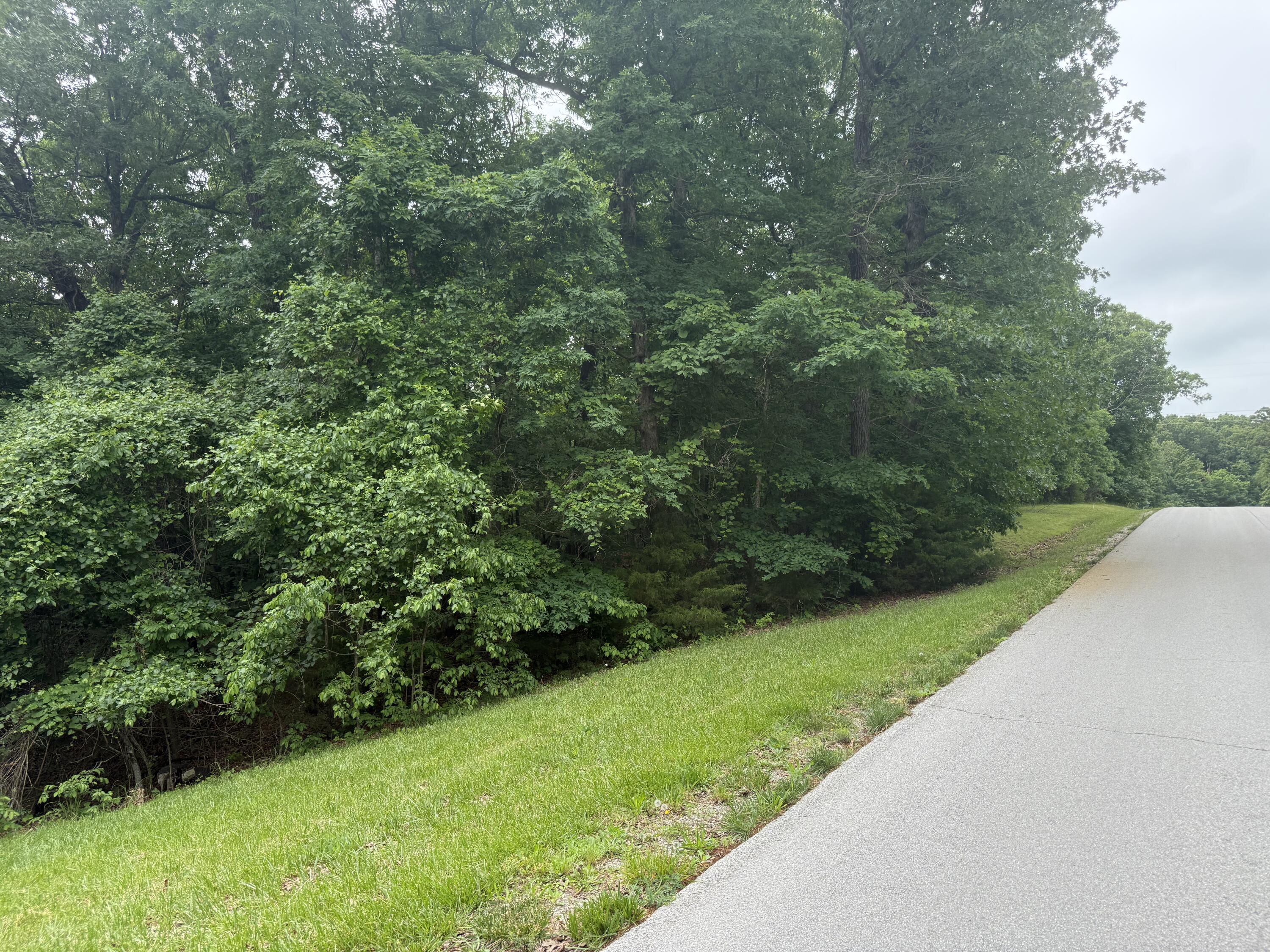 5156 North Missouri Oak Trail Property Photo 4