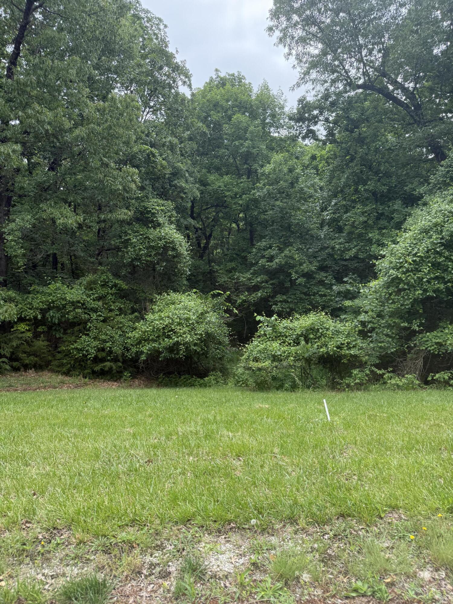 5156 North Missouri Oak Trail Property Photo 5