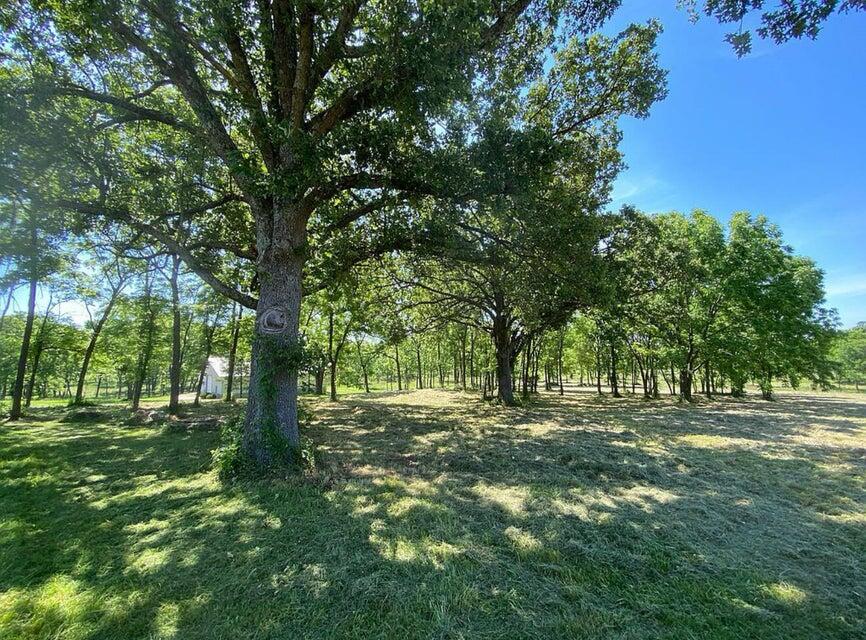 000 West Farm Rd 164 Property Photo 15