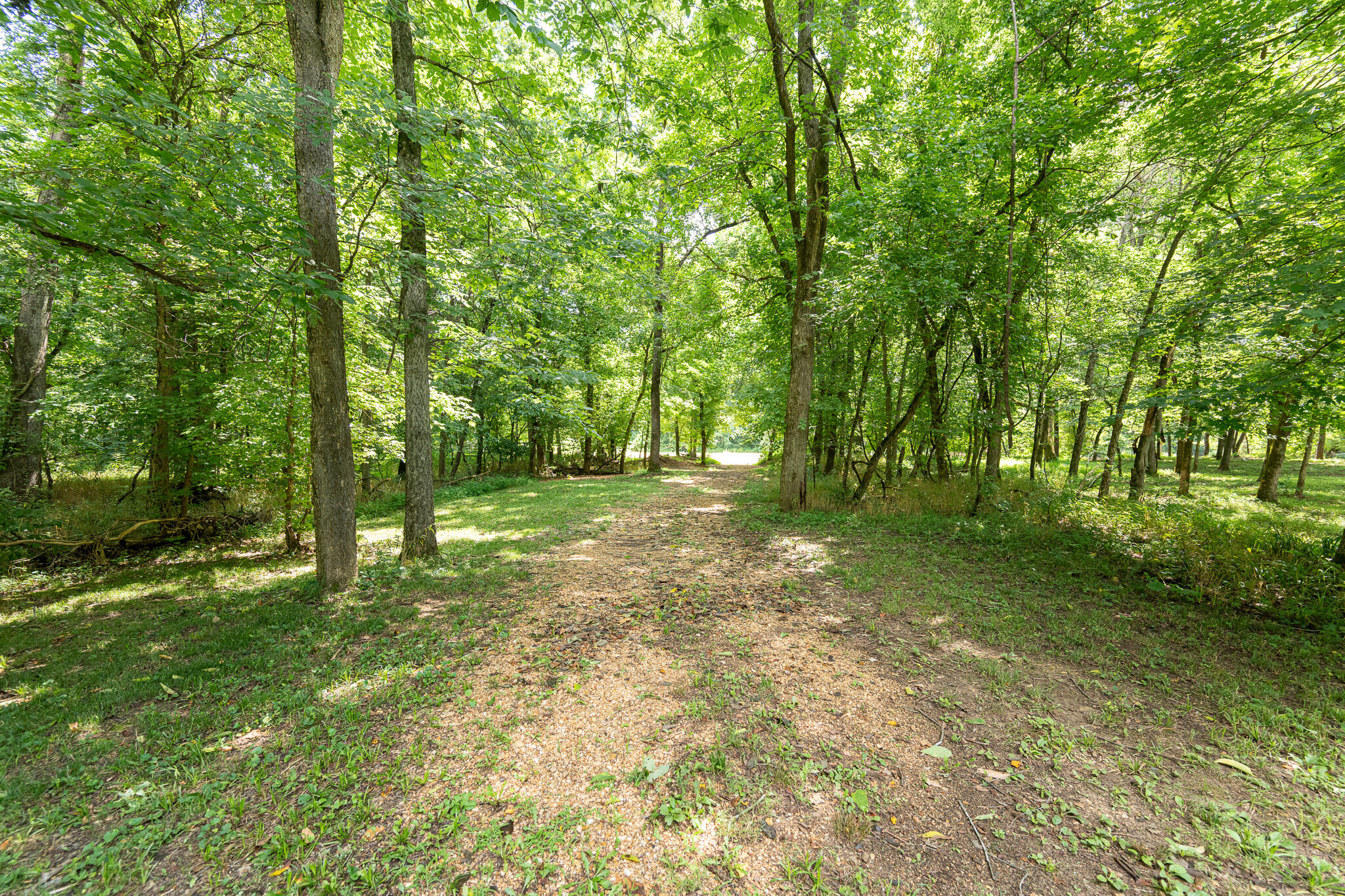 777 Thickety Ford Road Property Photo 29