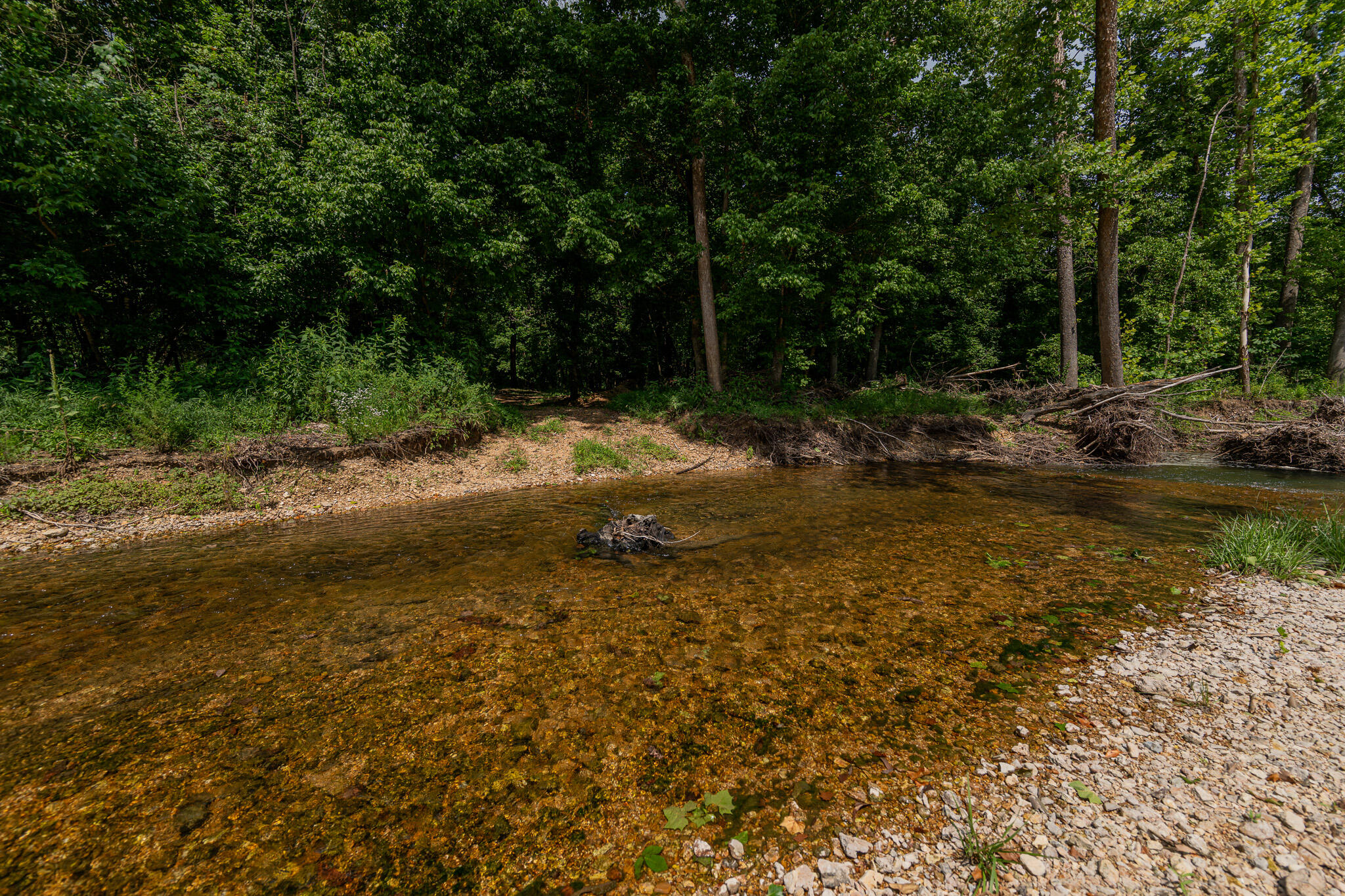 777 Thickety Ford Road Property Photo 37