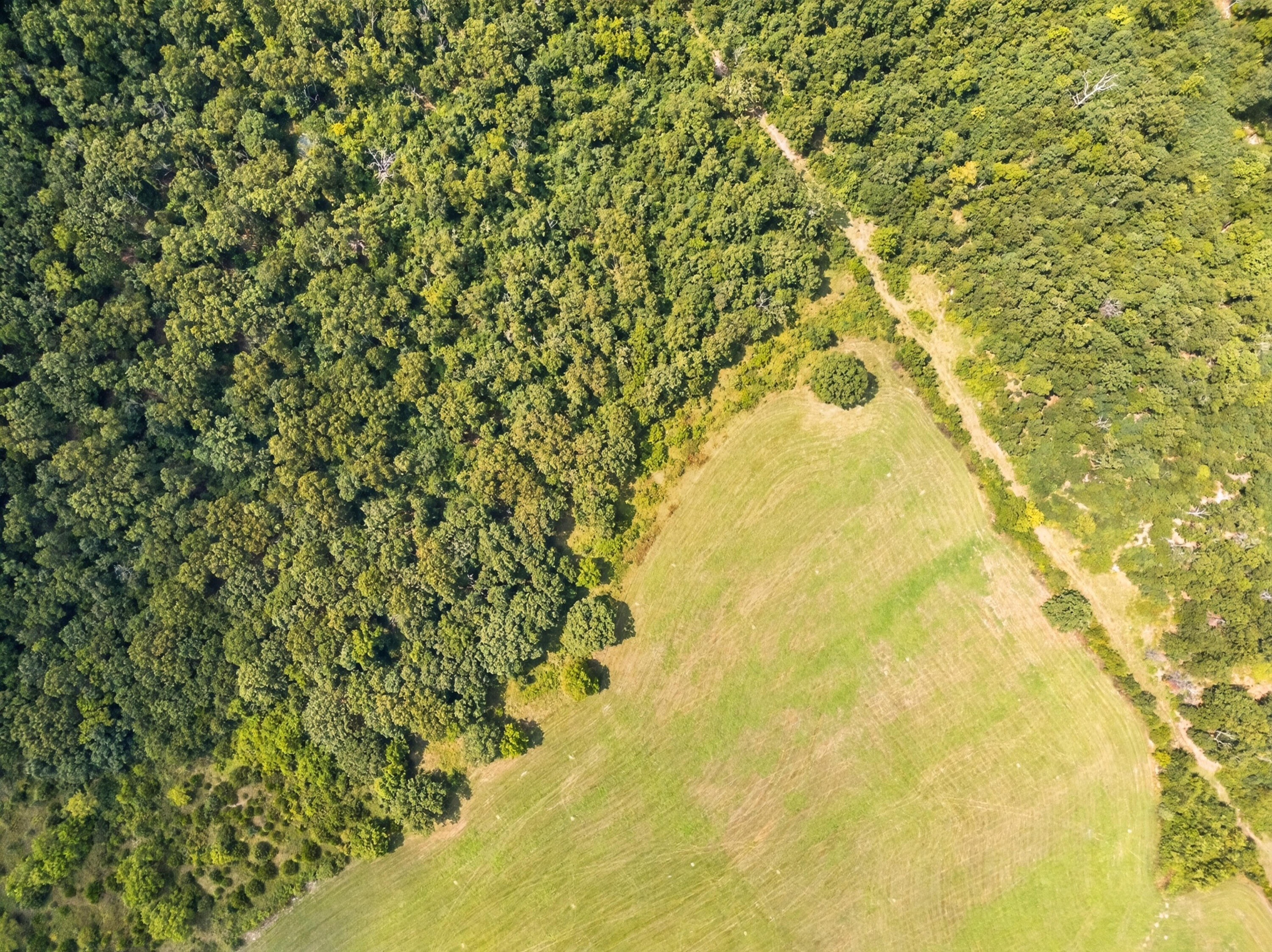 C-5853 Missouri 5 Property Photo 4