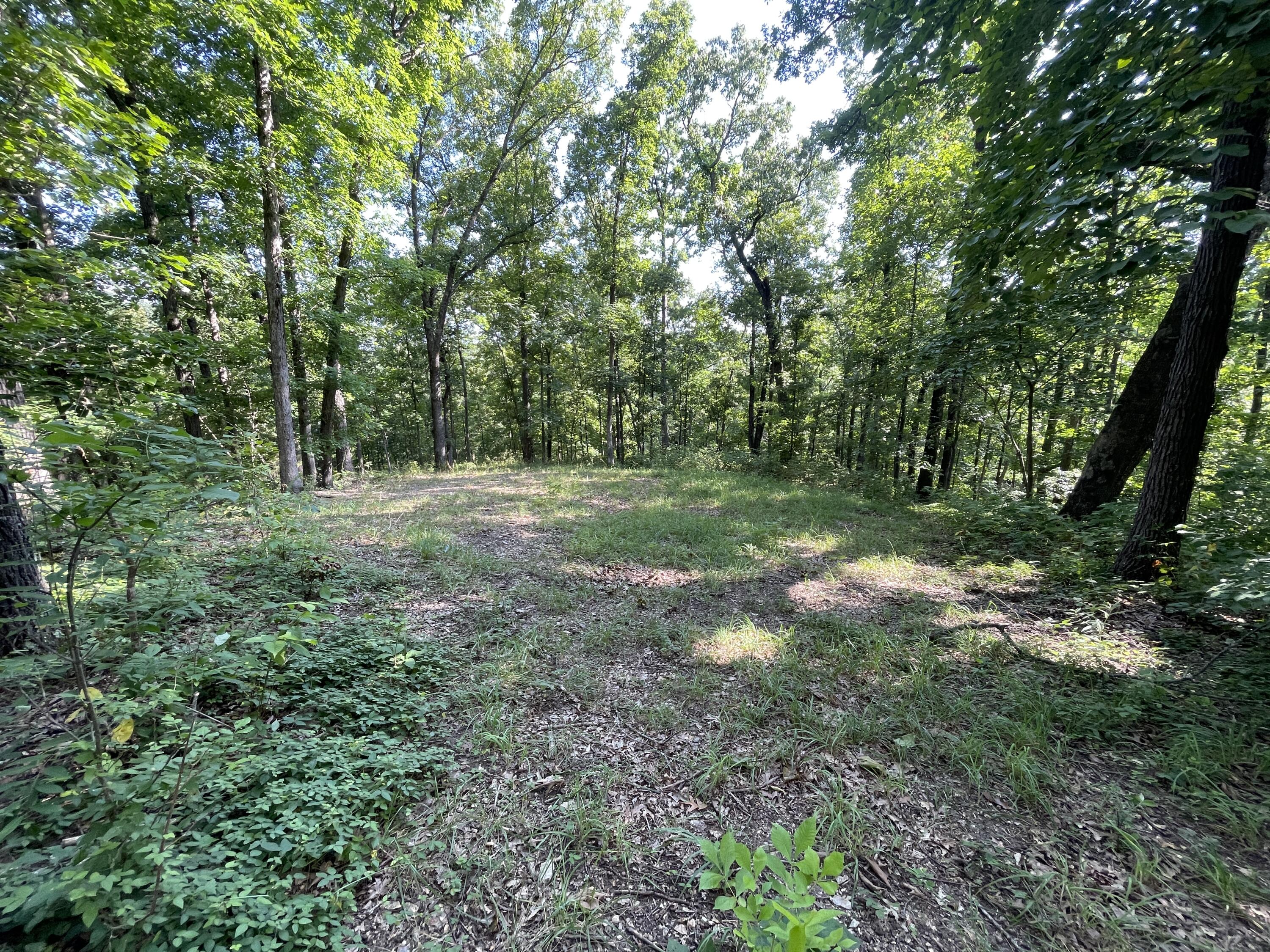 25470 State Highway Uu Property Photo 17