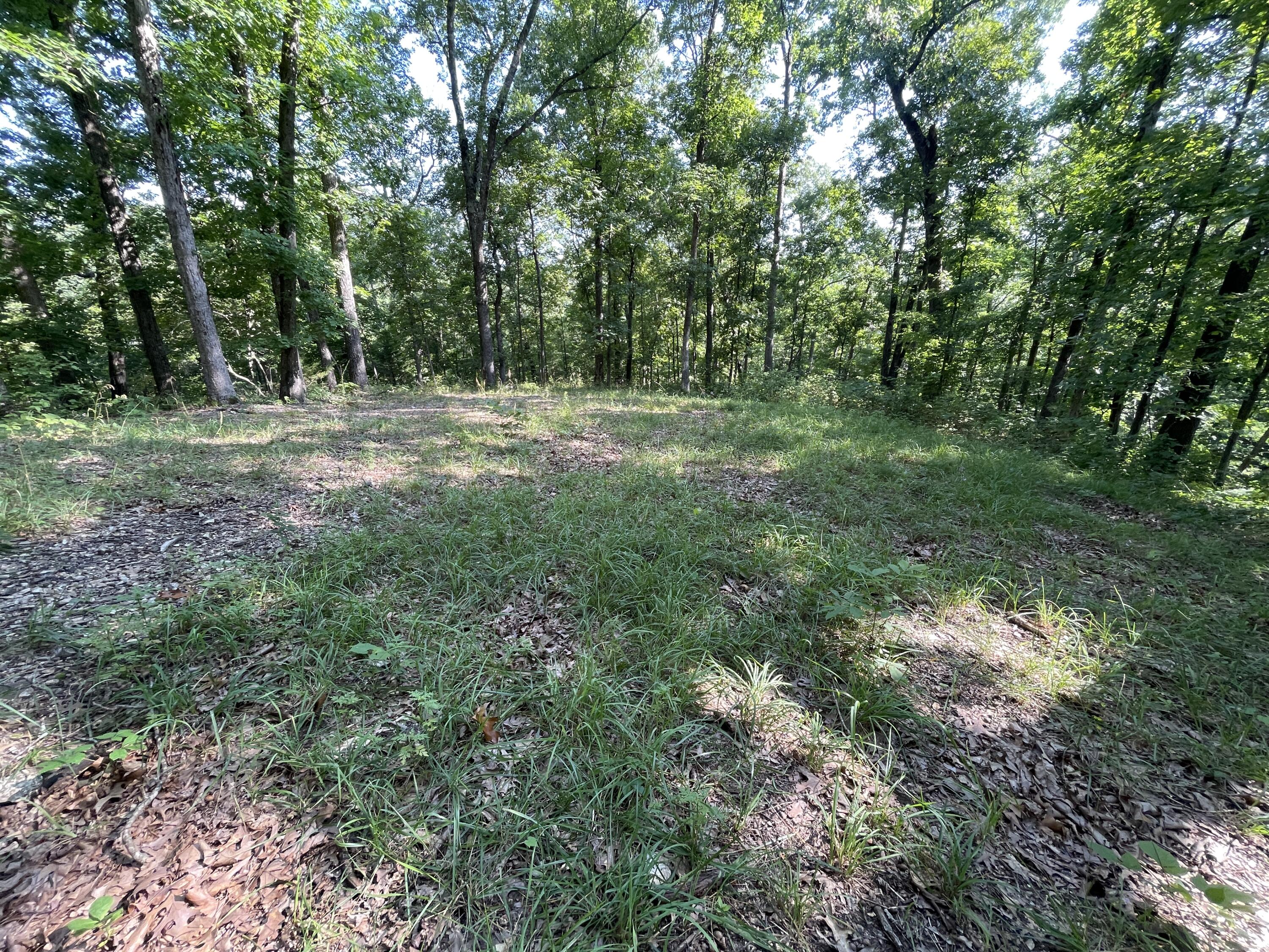 25470 State Highway Uu Property Photo 19