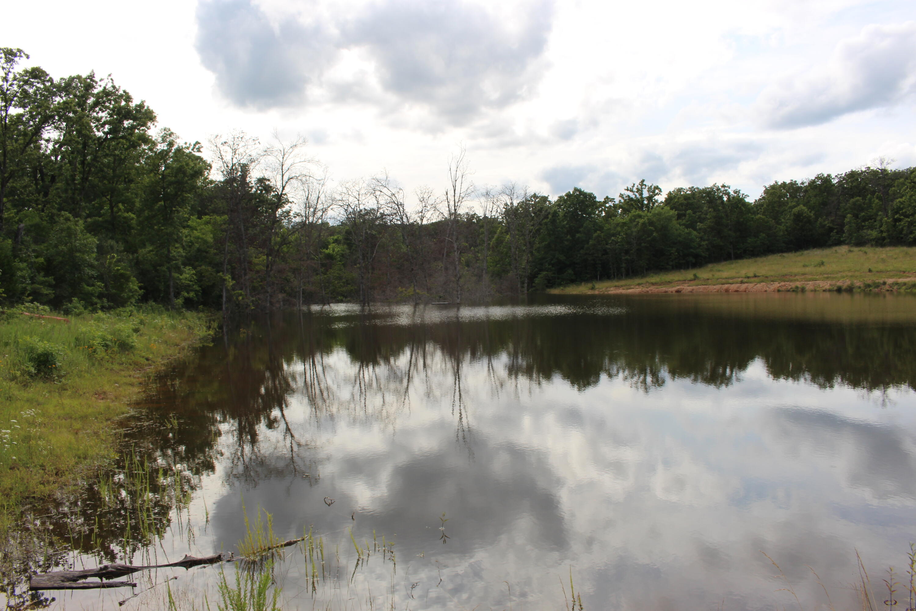 Tbd Kolb Hollow Road Property Photo 1