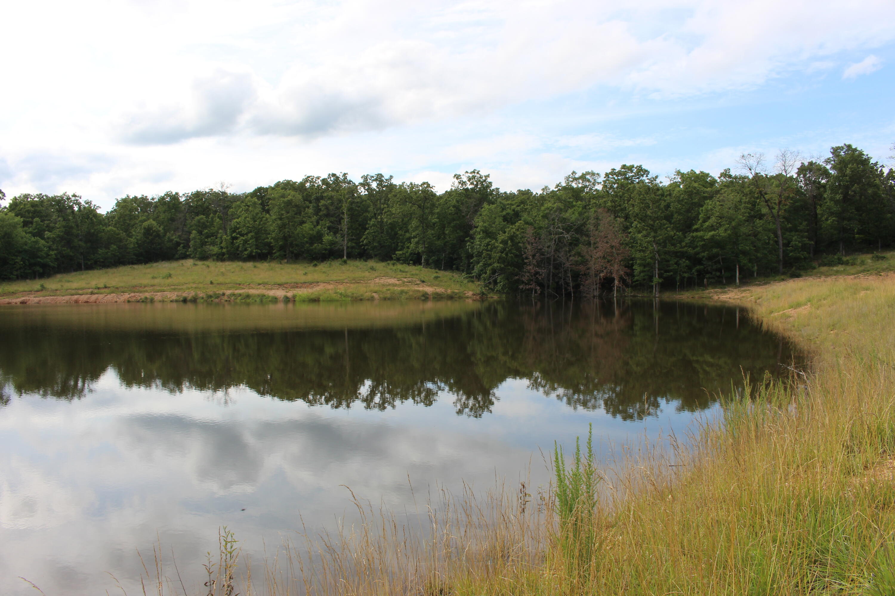 Tbd Kolb Hollow Road Property Photo 2