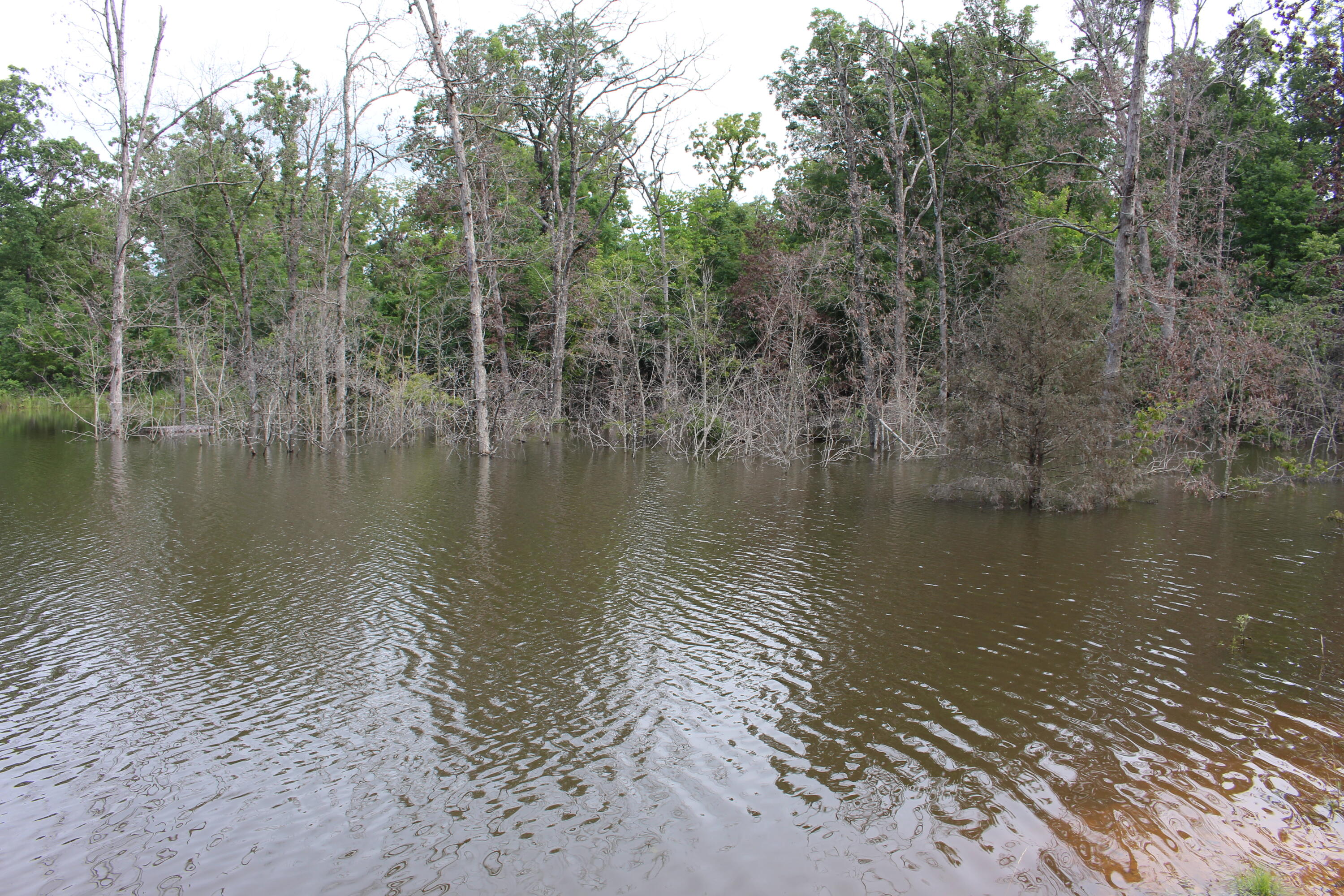 Tbd Kolb Hollow Road Property Photo 3
