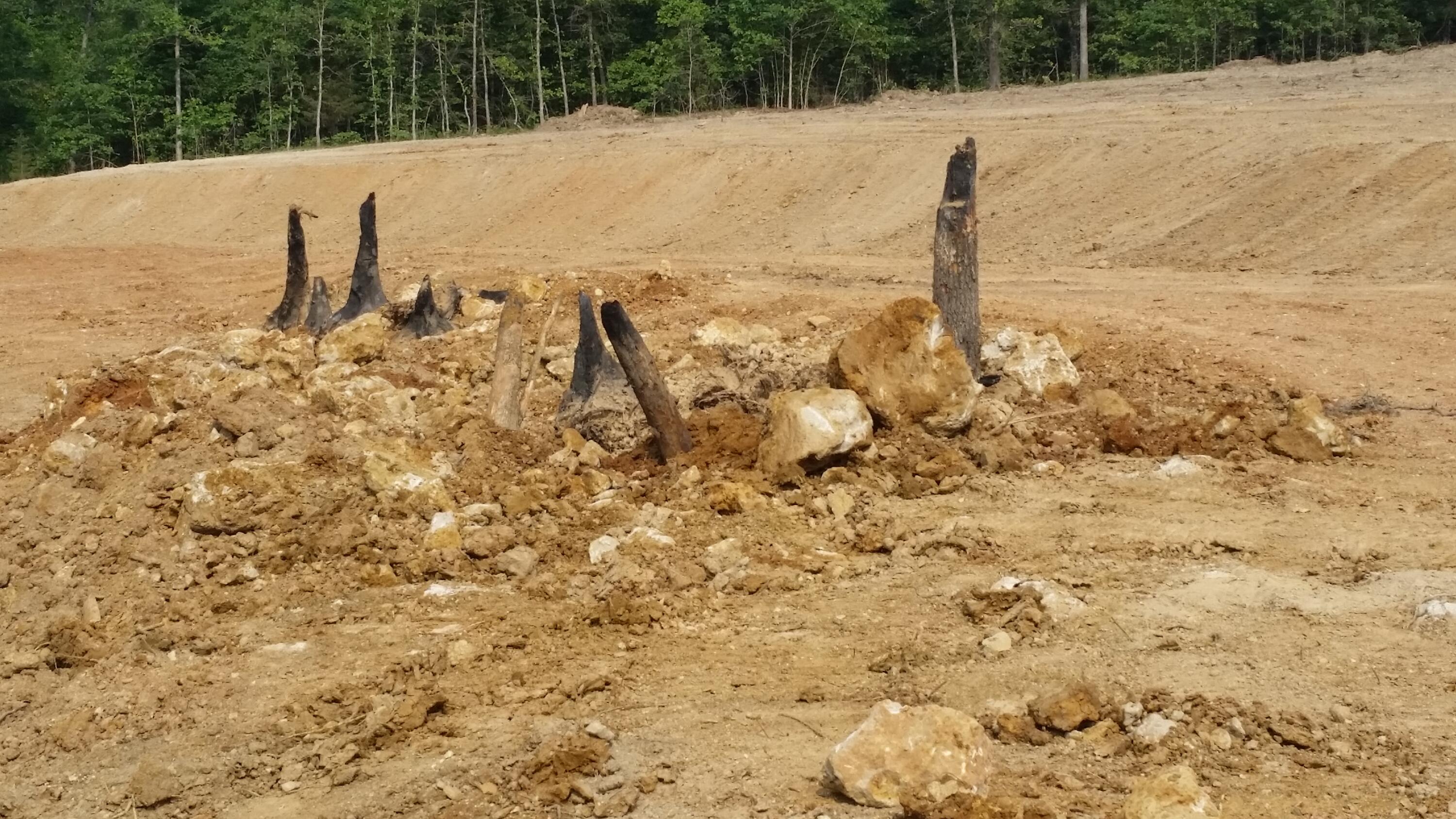 Tbd Kolb Hollow Road Property Photo 4