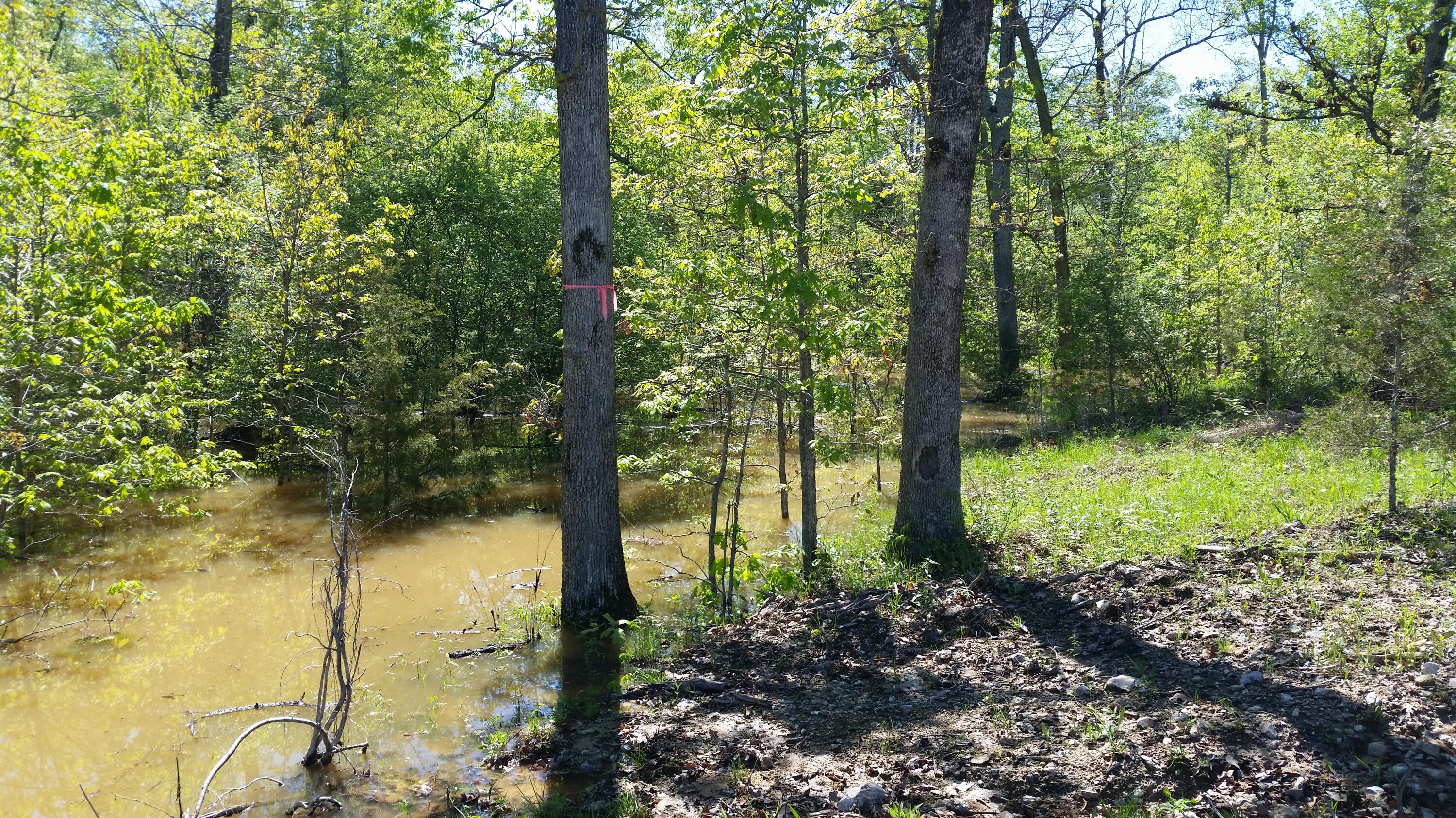 Tbd Kolb Hollow Road Property Photo 10