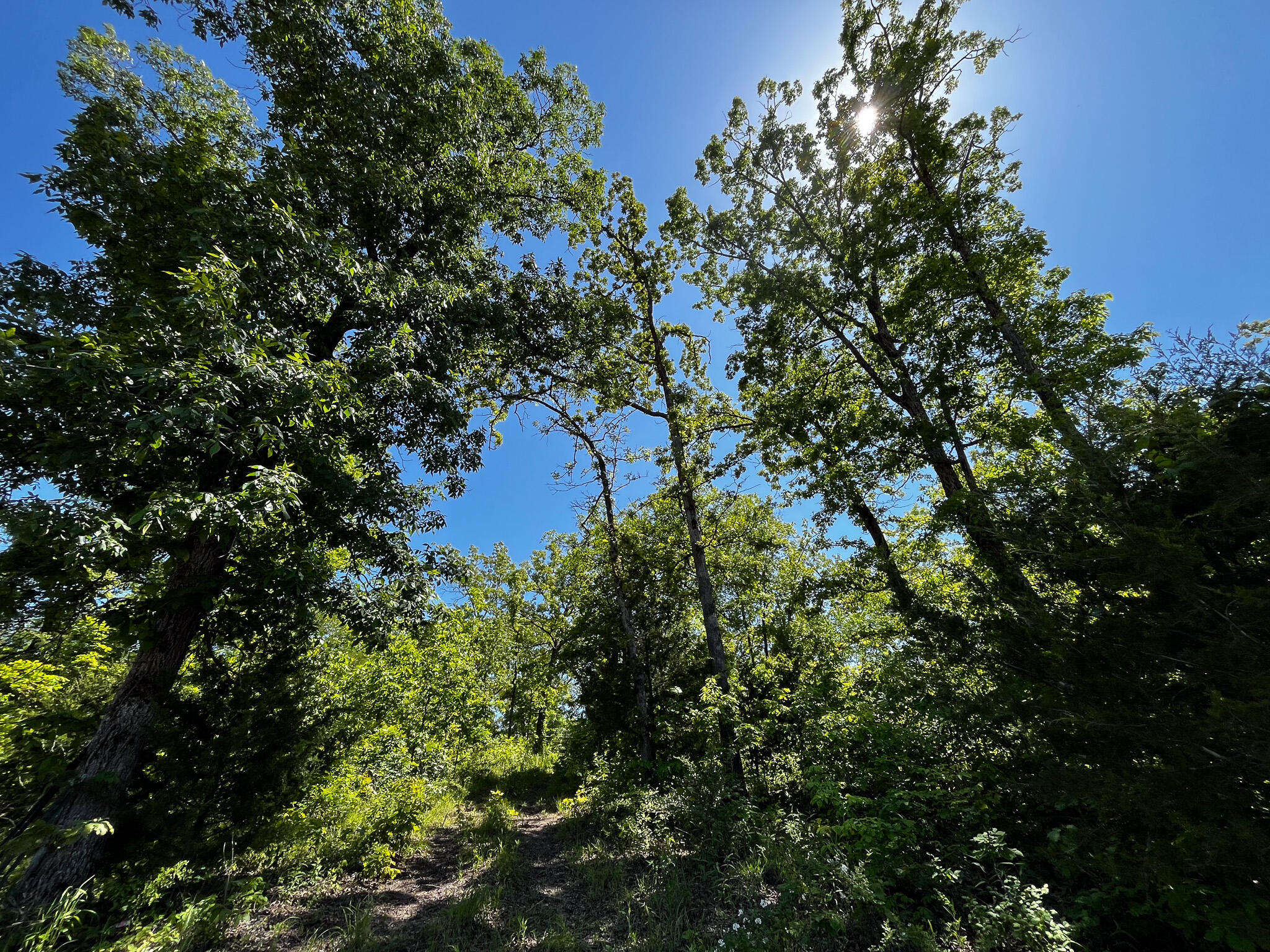 Tbd Kolb Hollow Road Property Photo 15