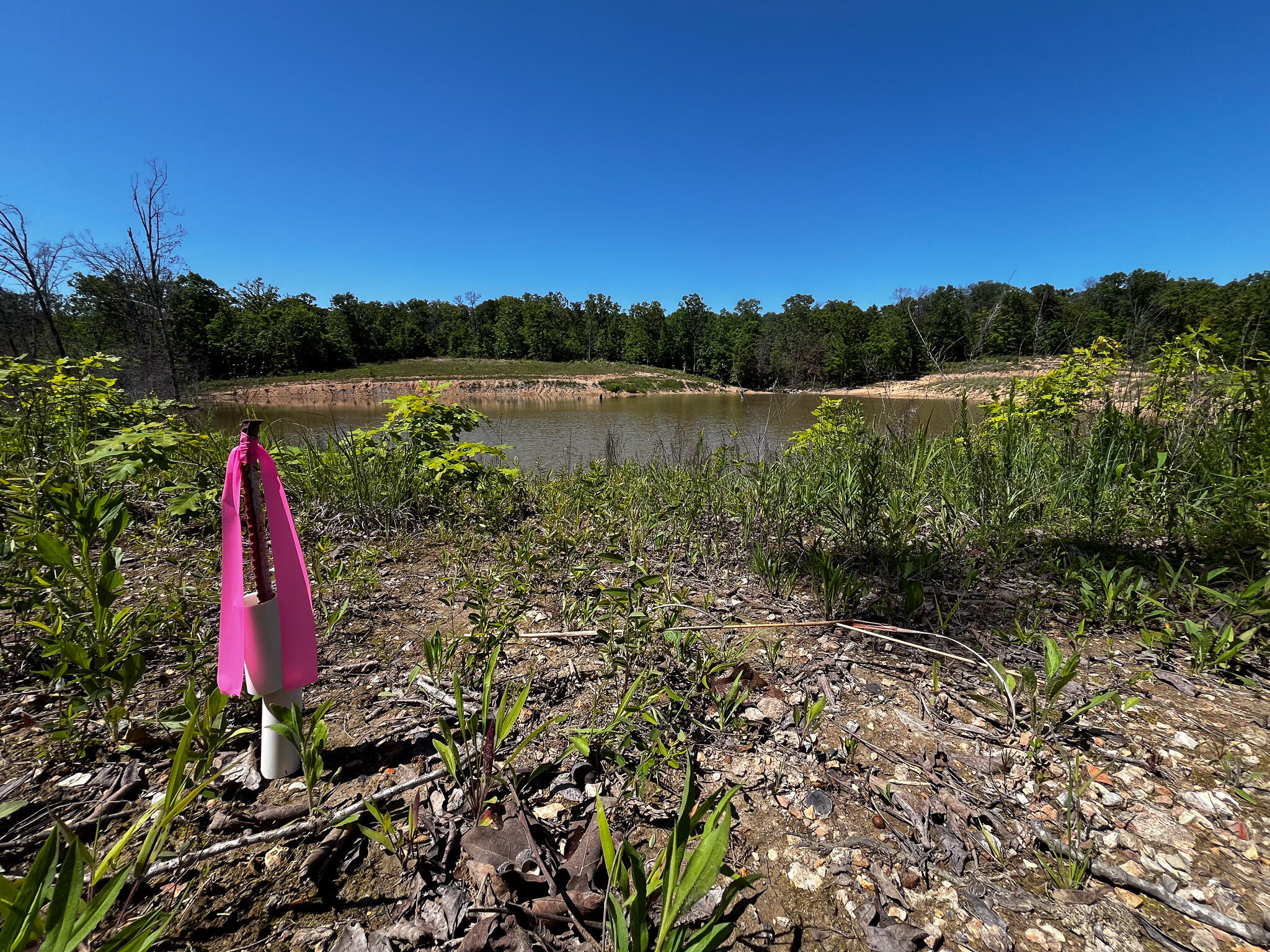 Tbd Kolb Hollow Road Property Photo 16