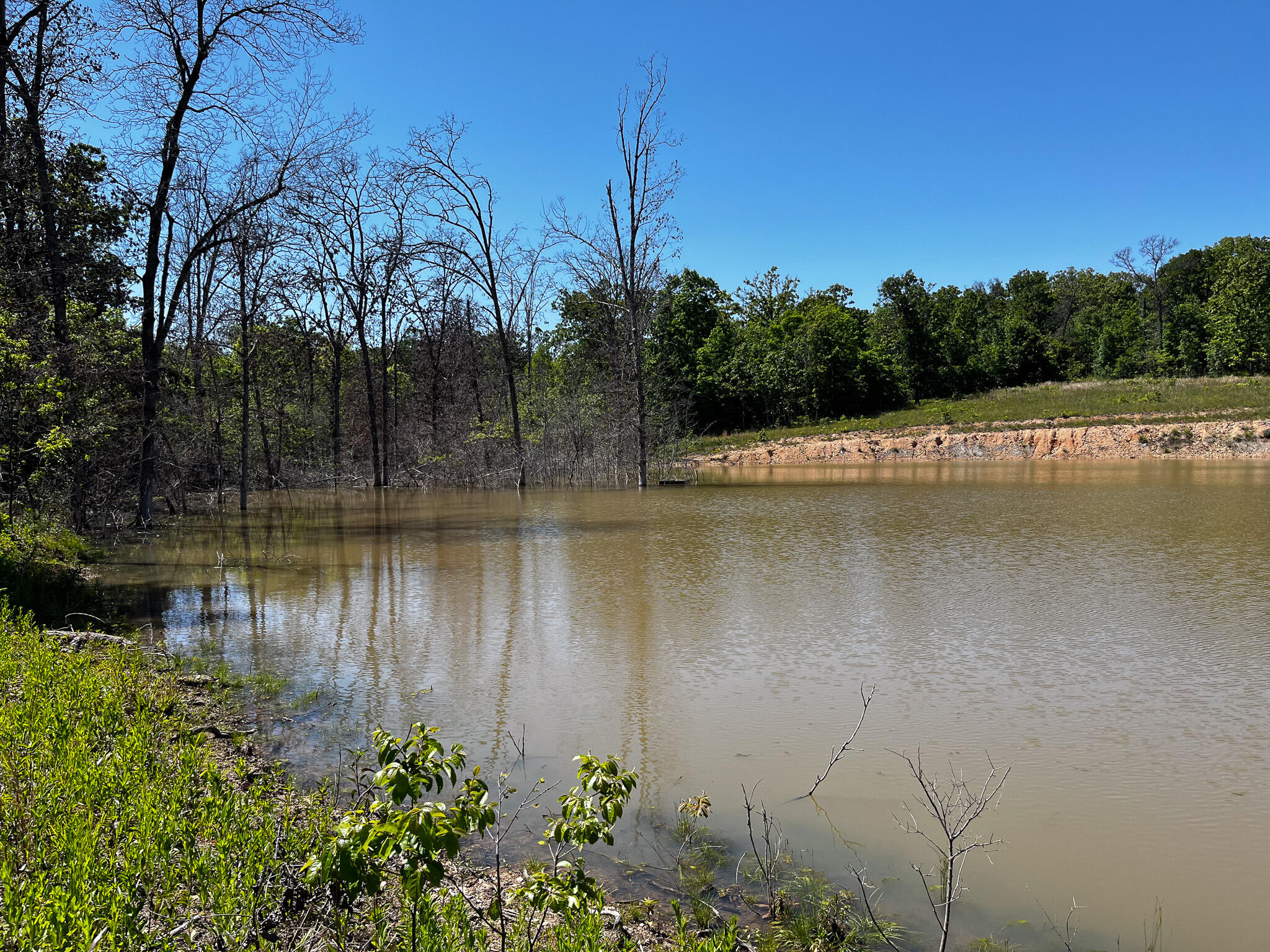 Tbd Kolb Hollow Road Property Photo 17
