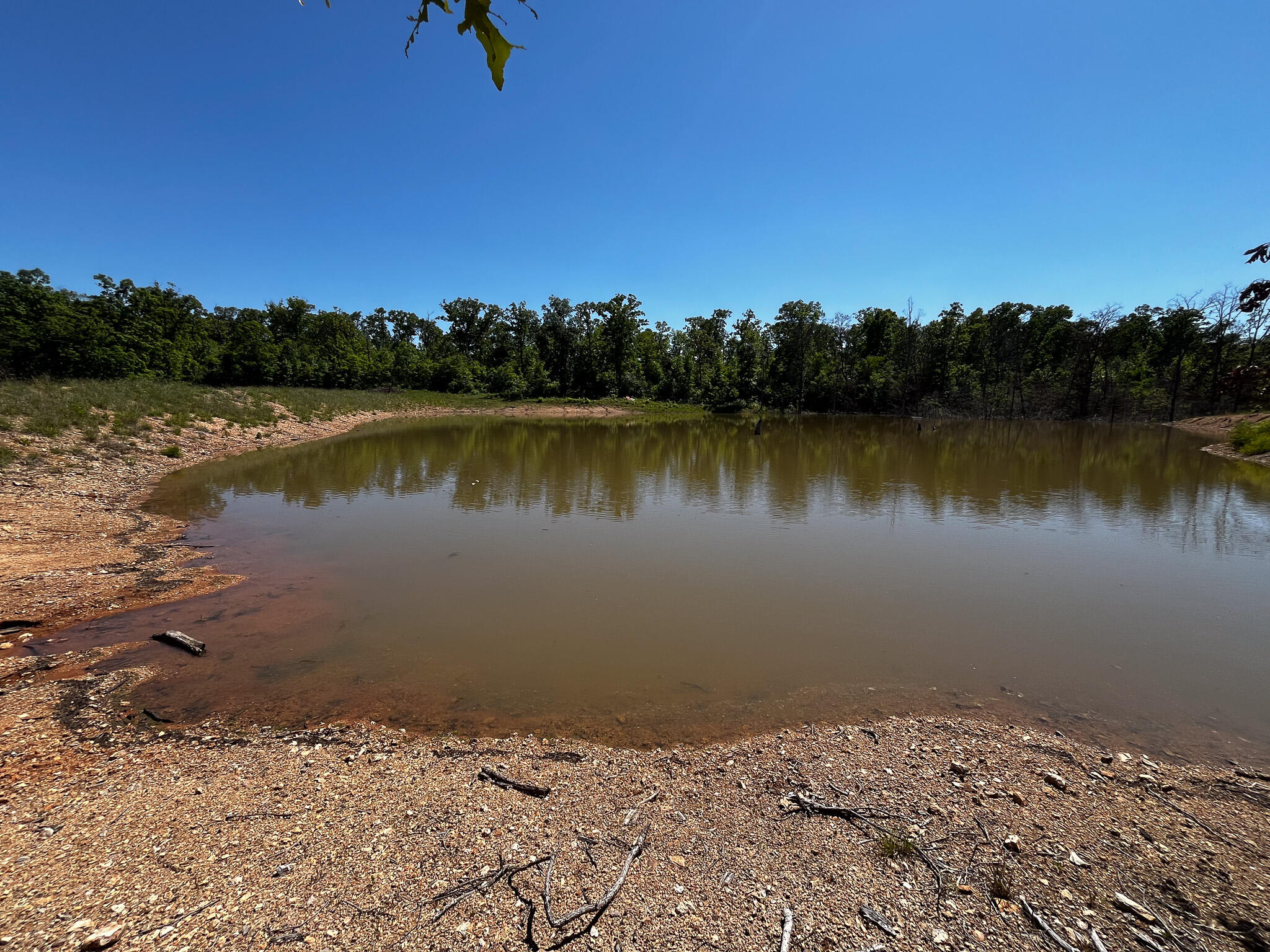 Tbd Kolb Hollow Road Property Photo 19