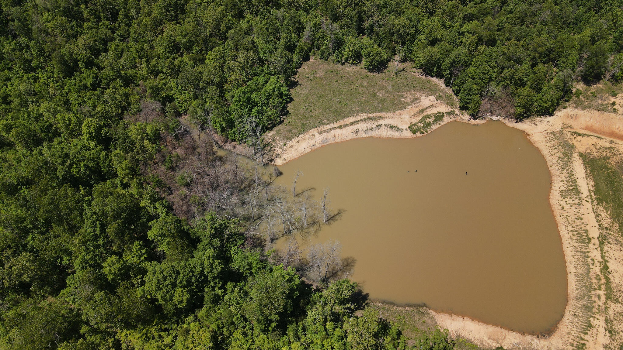 Tbd Kolb Hollow Road Property Photo 23