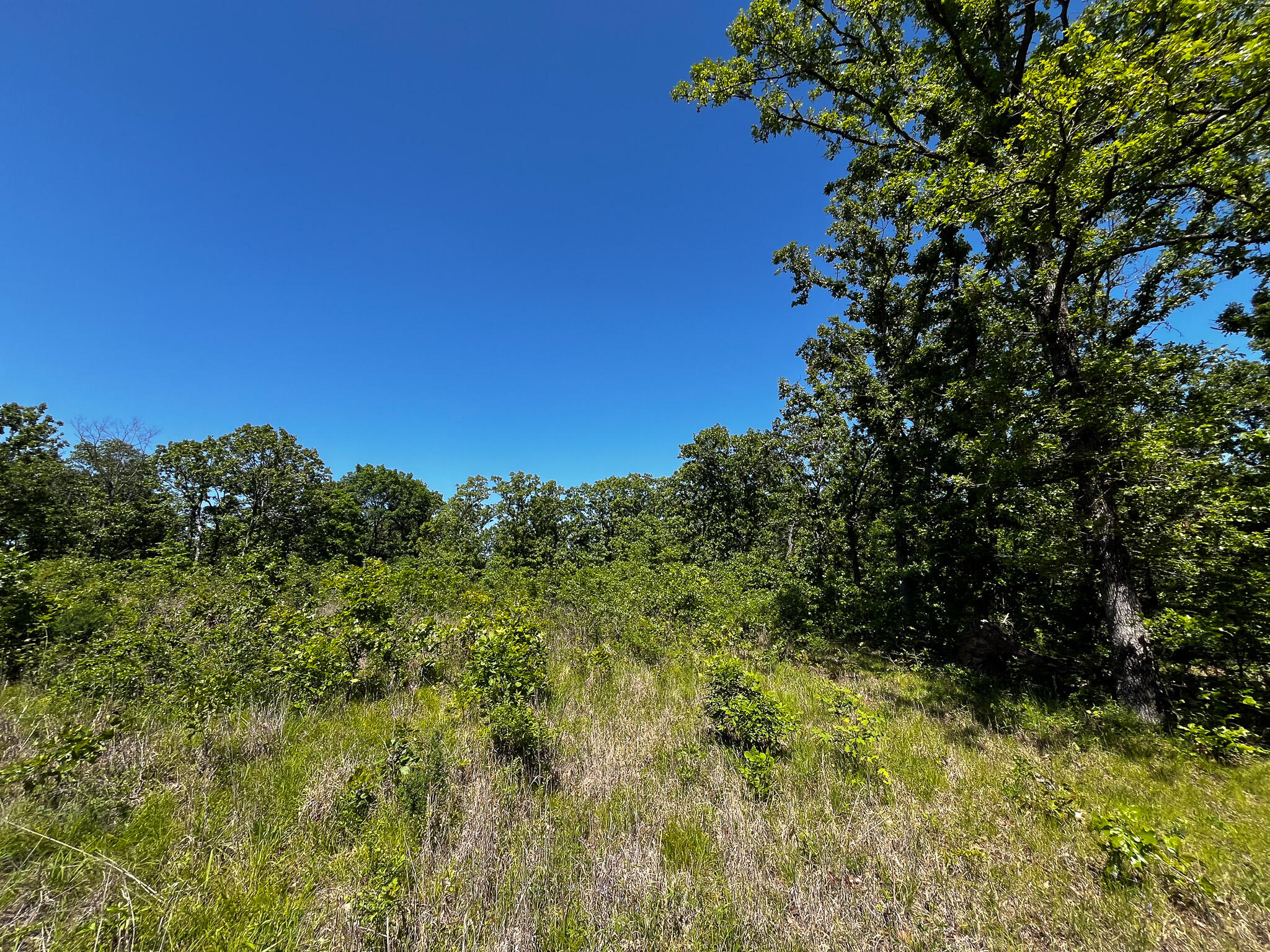 Tbd Kolb Hollow Road Property Photo 25