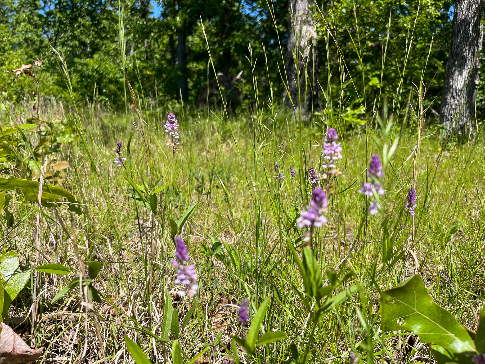 Tbd Kolb Hollow Road Property Photo 27