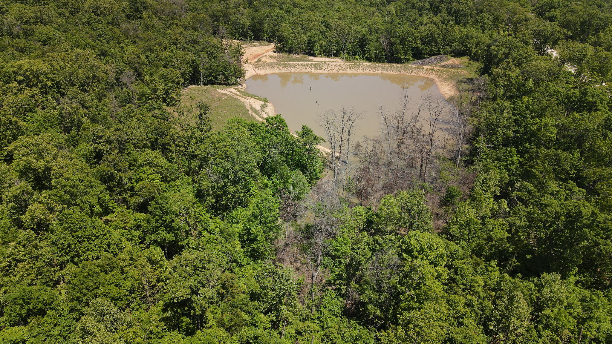 Tbd Kolb Hollow Road Property Photo 38