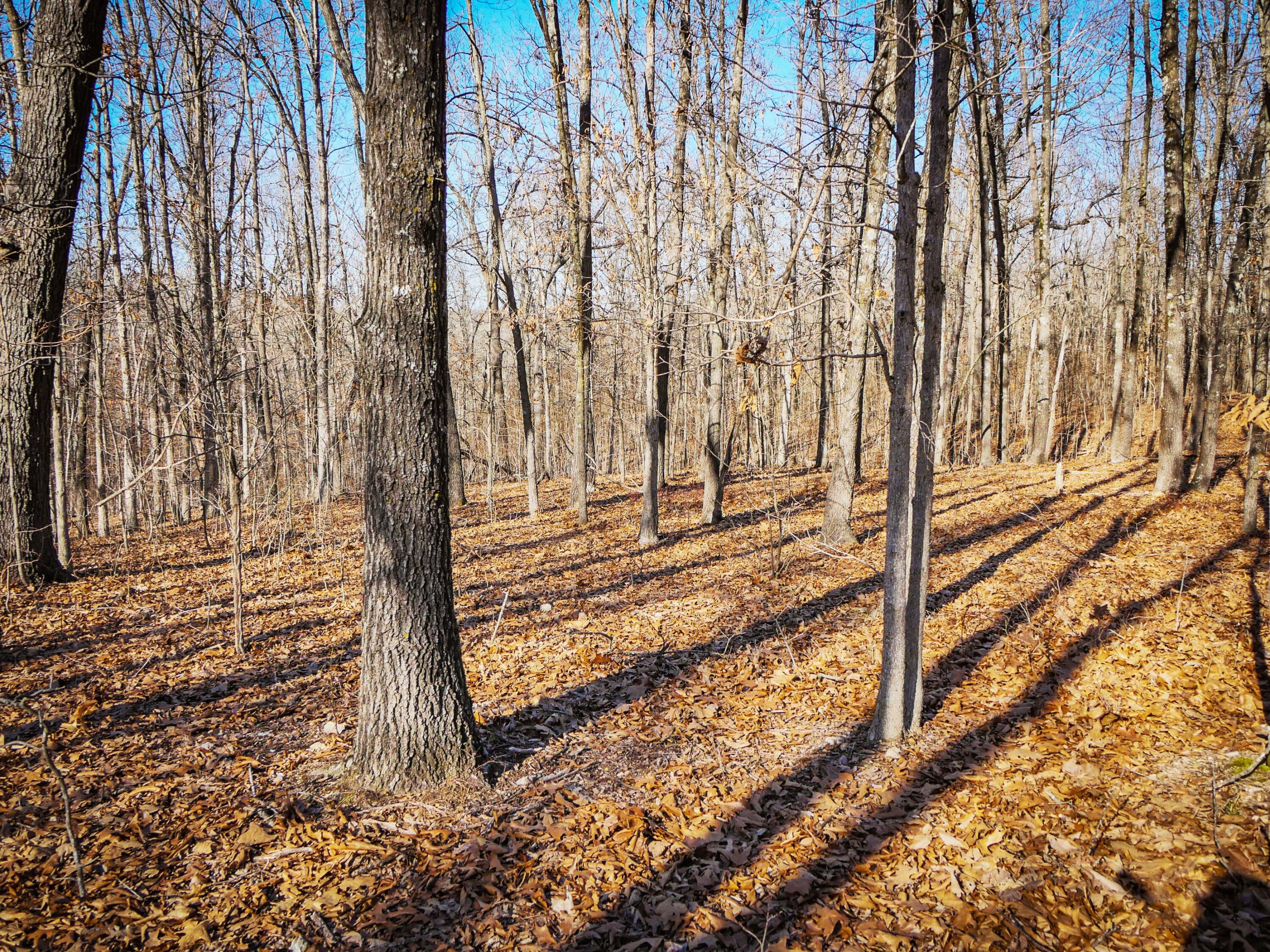 000 Ridge Trail Road Lot D Property Photo 2