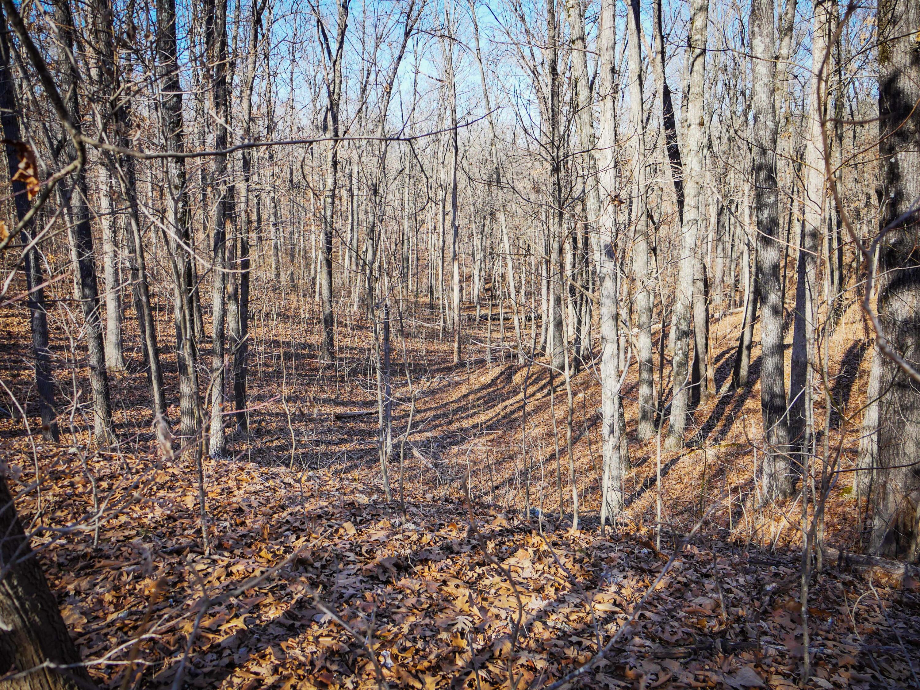 000 Ridge Trail Road Lot E Property Photo 3