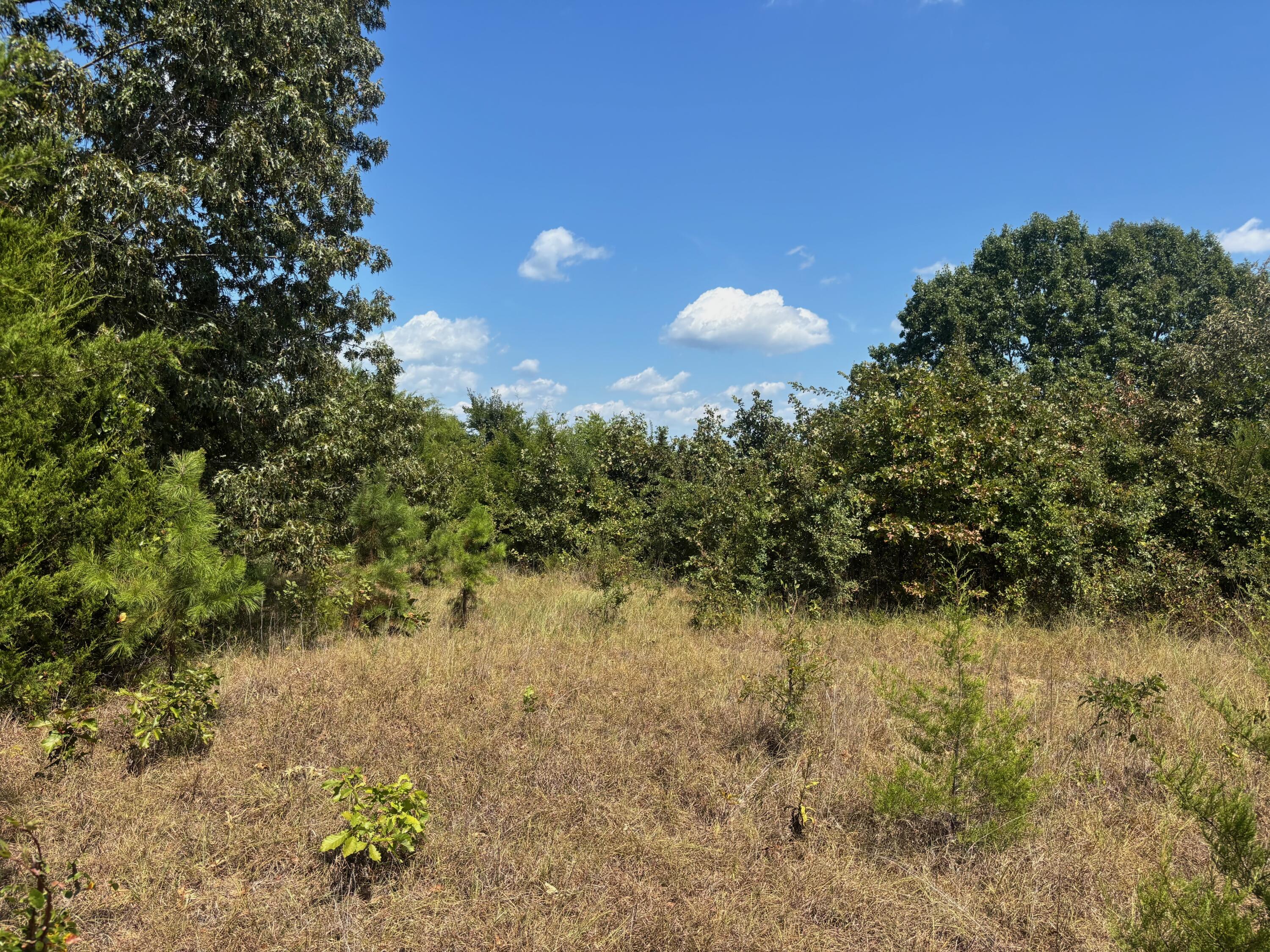 Tract 2 Little Woods Road Property Photo 19