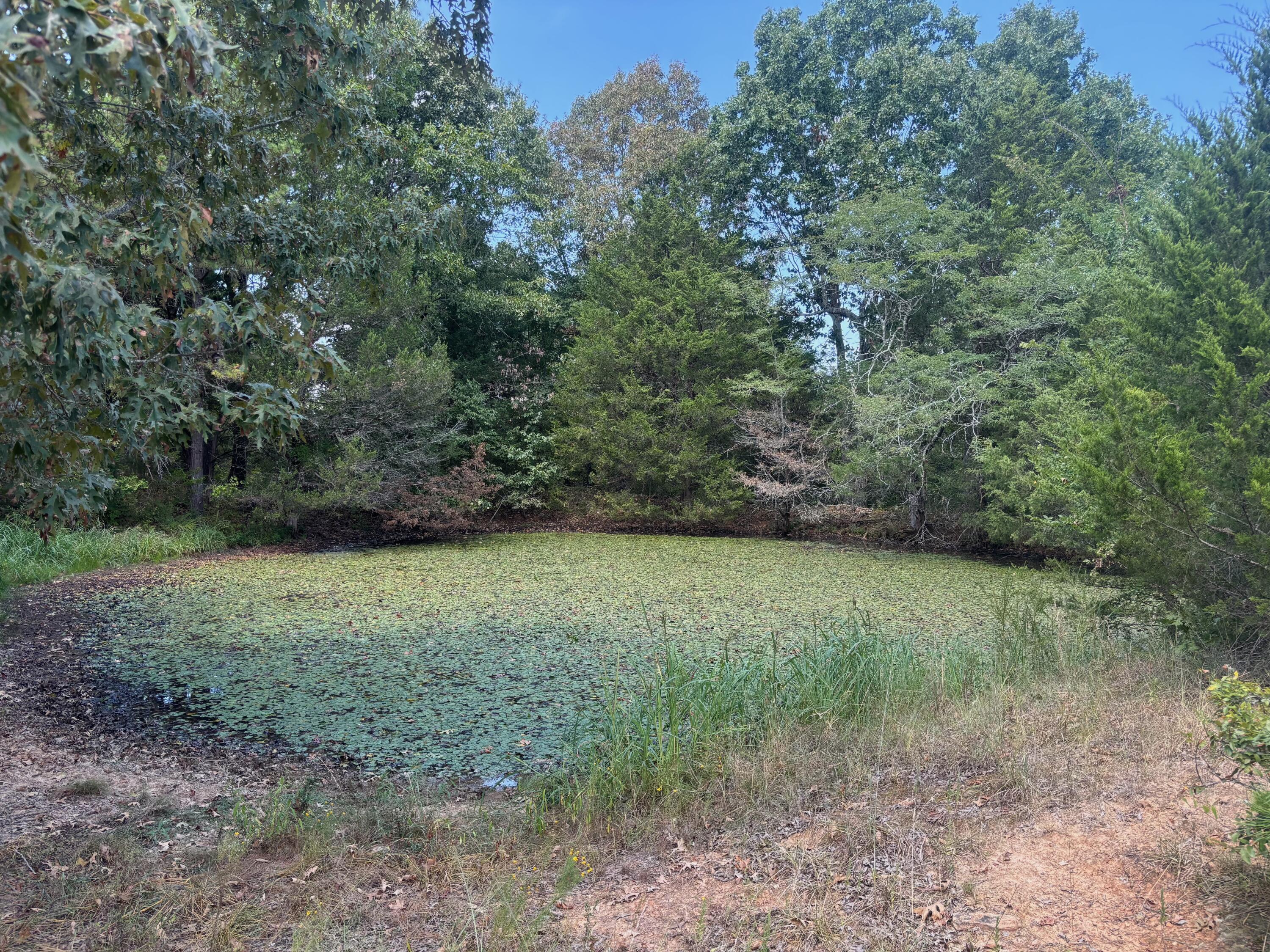 Tract 2 Little Woods Road Property Photo 20