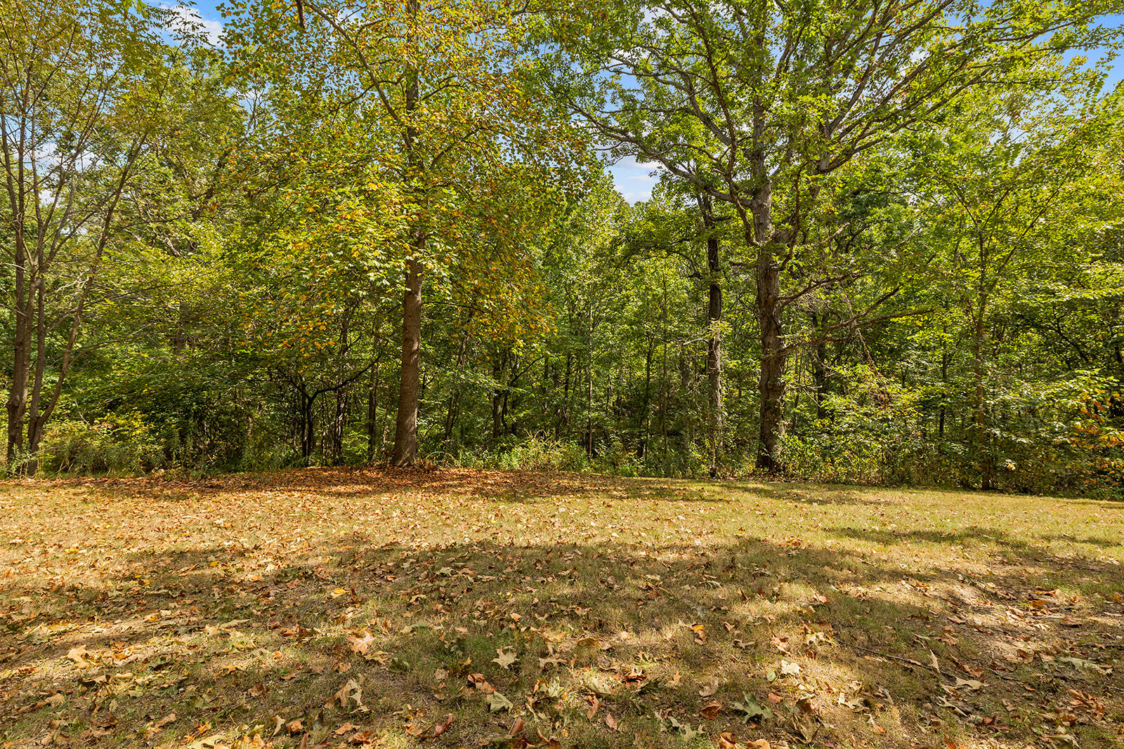 3948 North Valley Oak Lane Property Photo 56