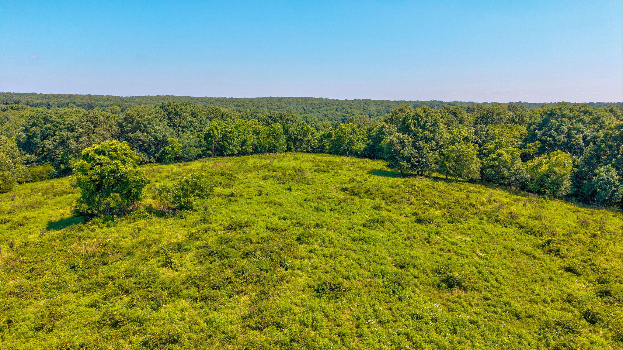 Tbd State Highway 174 Property Photo 3