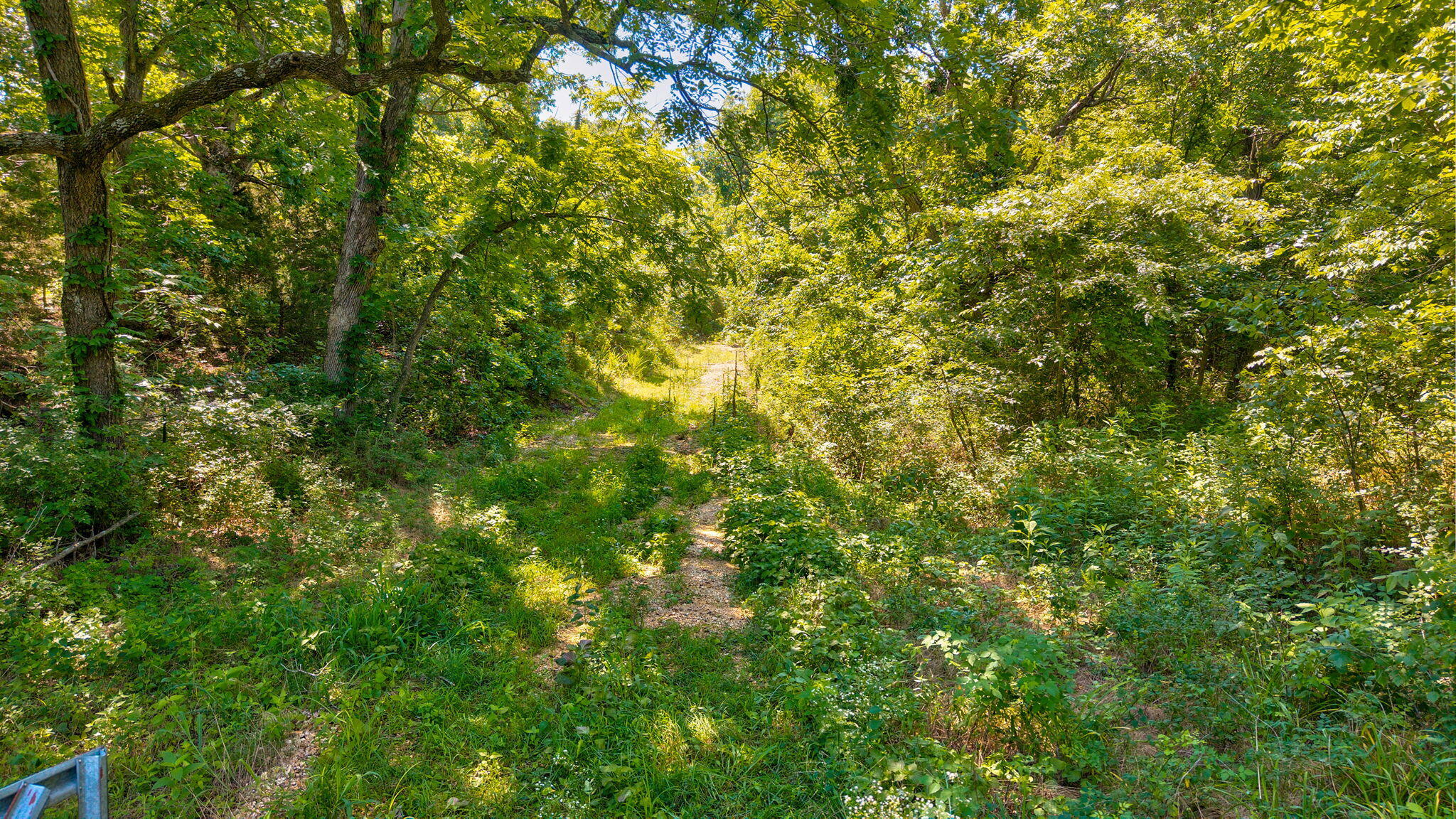 Tbd State Highway 174 Property Photo 14