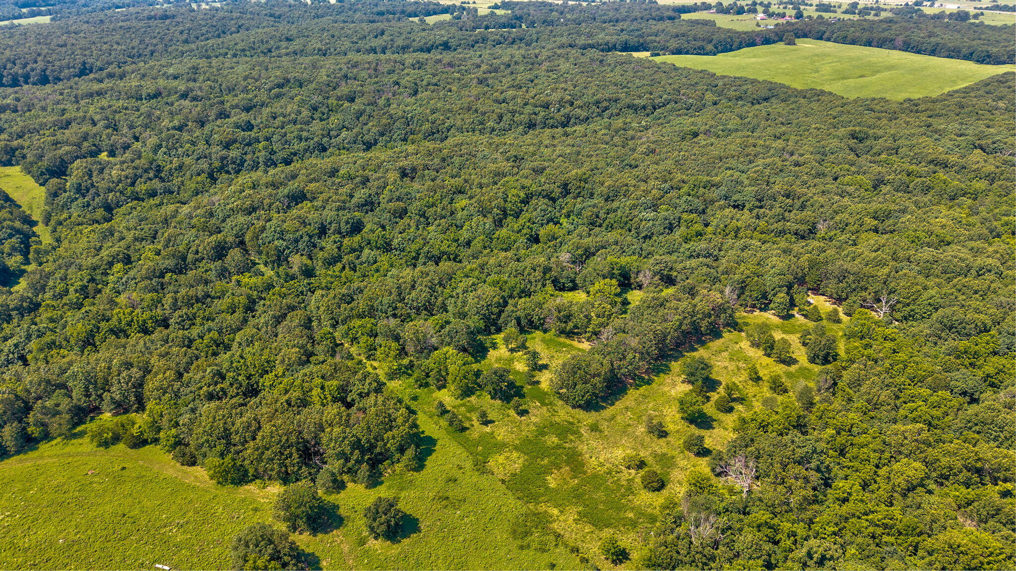 Tbd State Highway 174 Property Photo 17