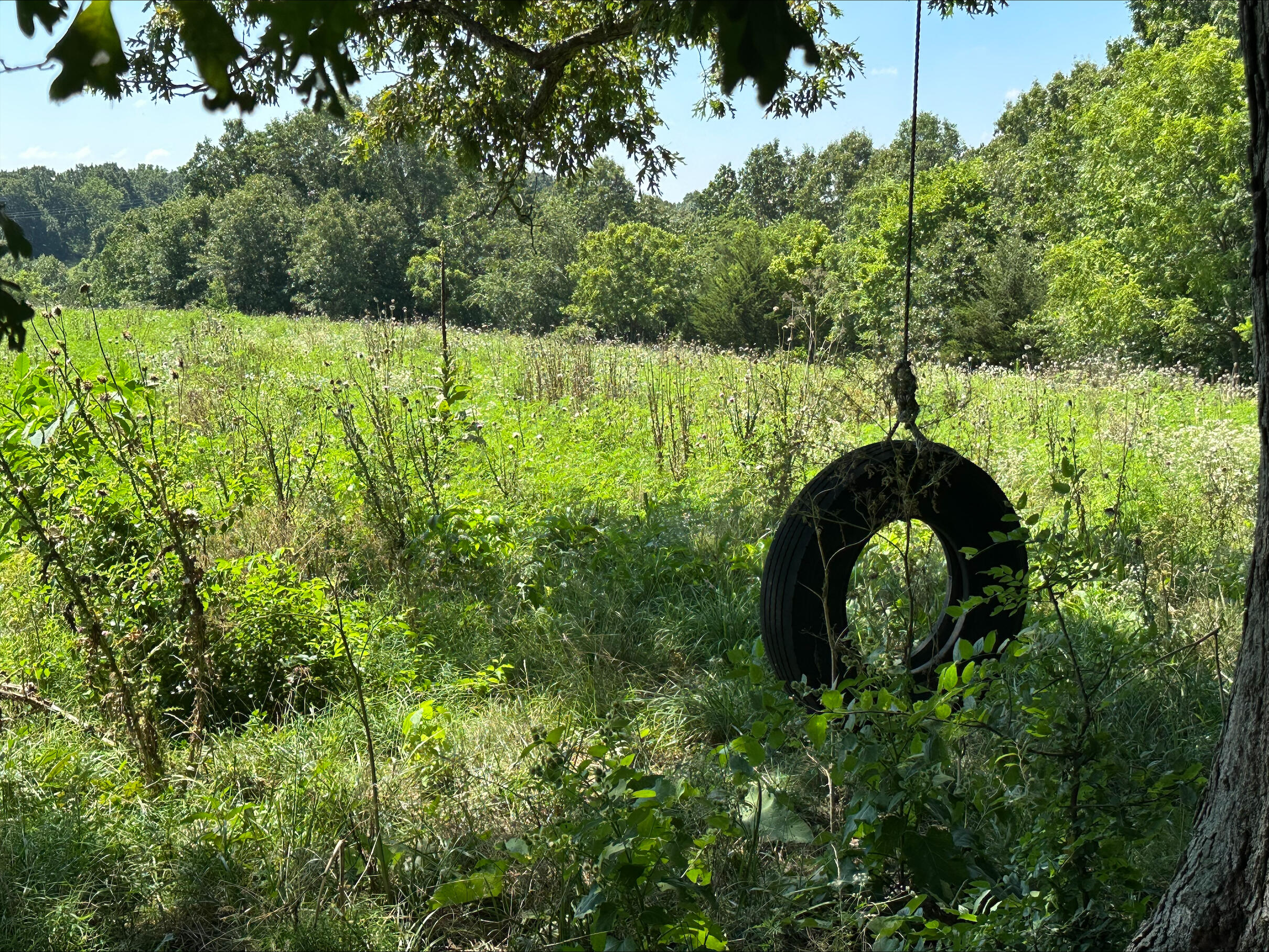 Tbd State Highway 174 Property Photo 33