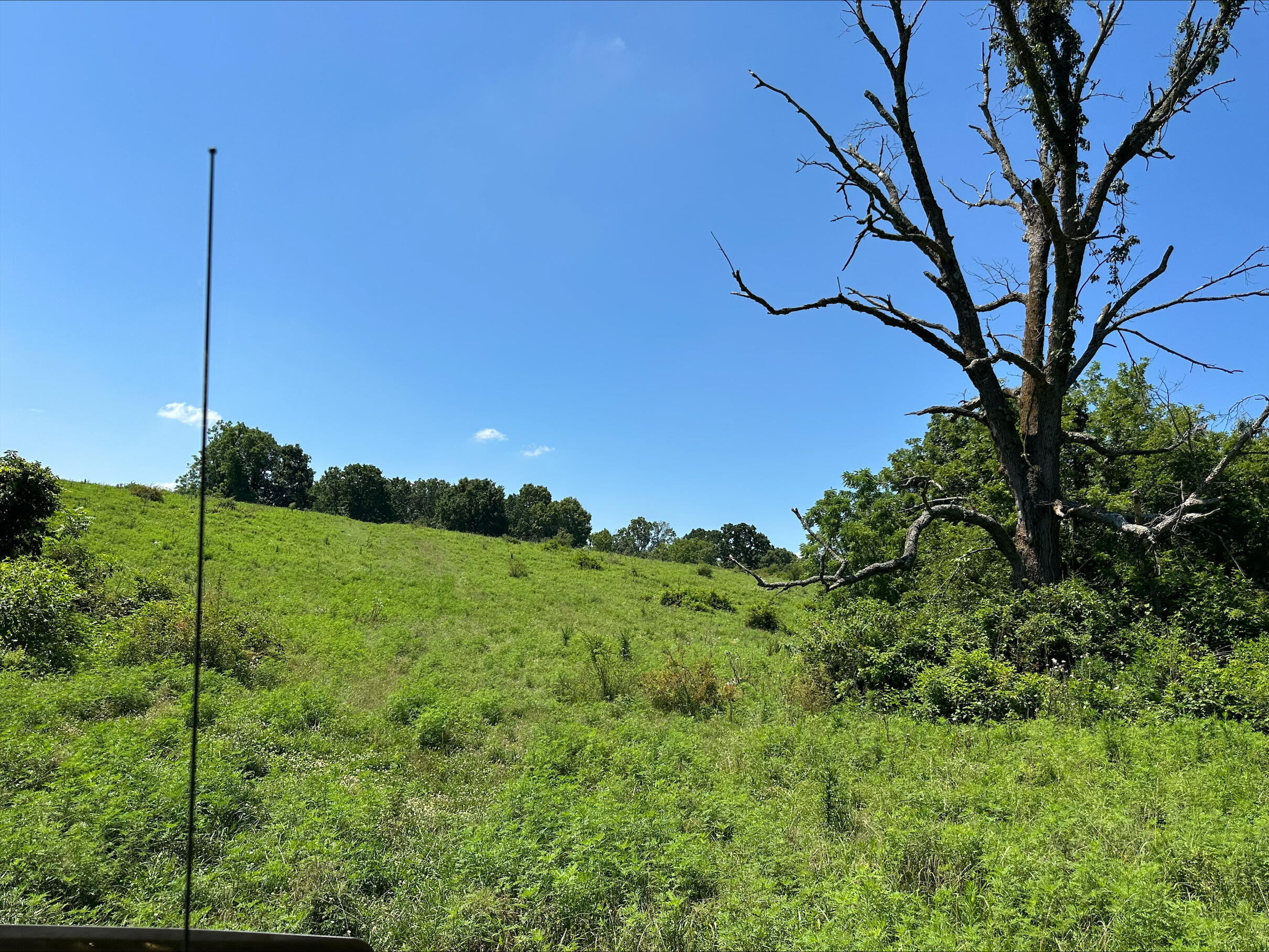 Tbd State Highway 174 Property Photo 35
