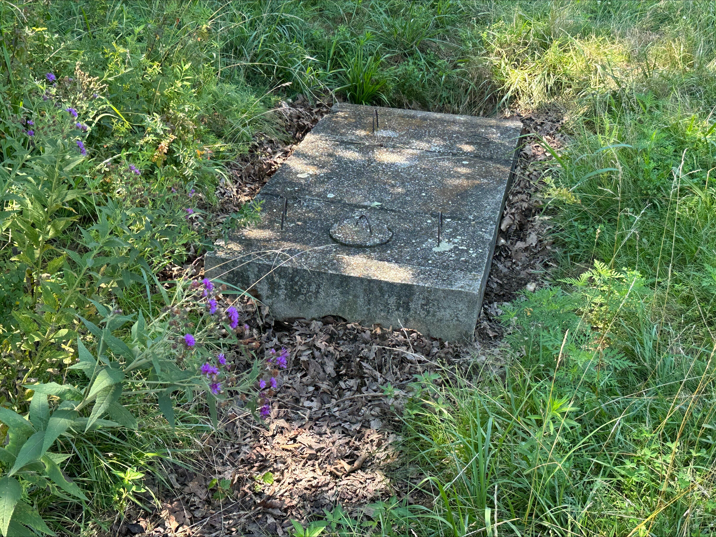 Tbd State Highway 174 Property Photo 36