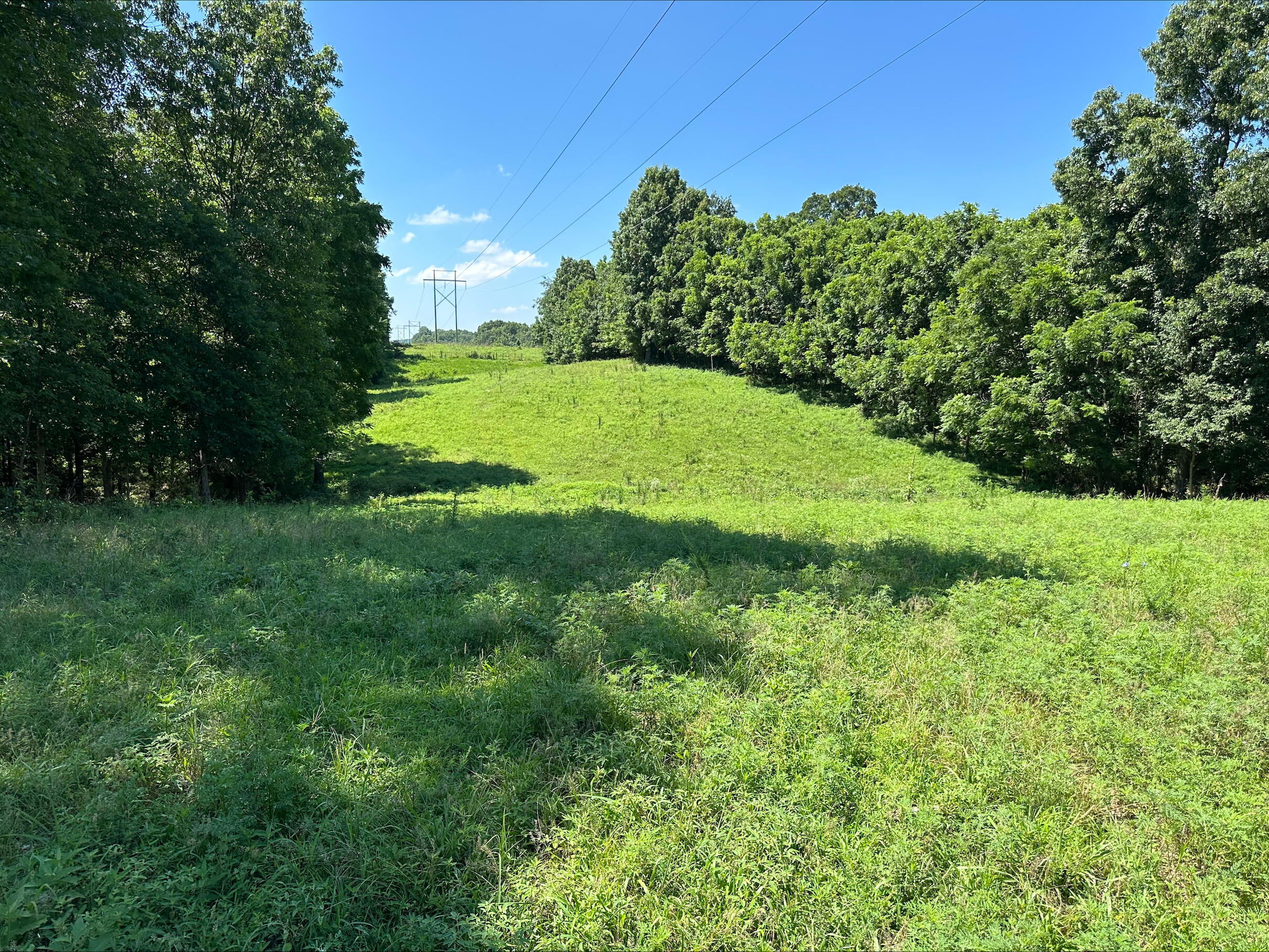 Tbd State Highway 174 Property Photo 37
