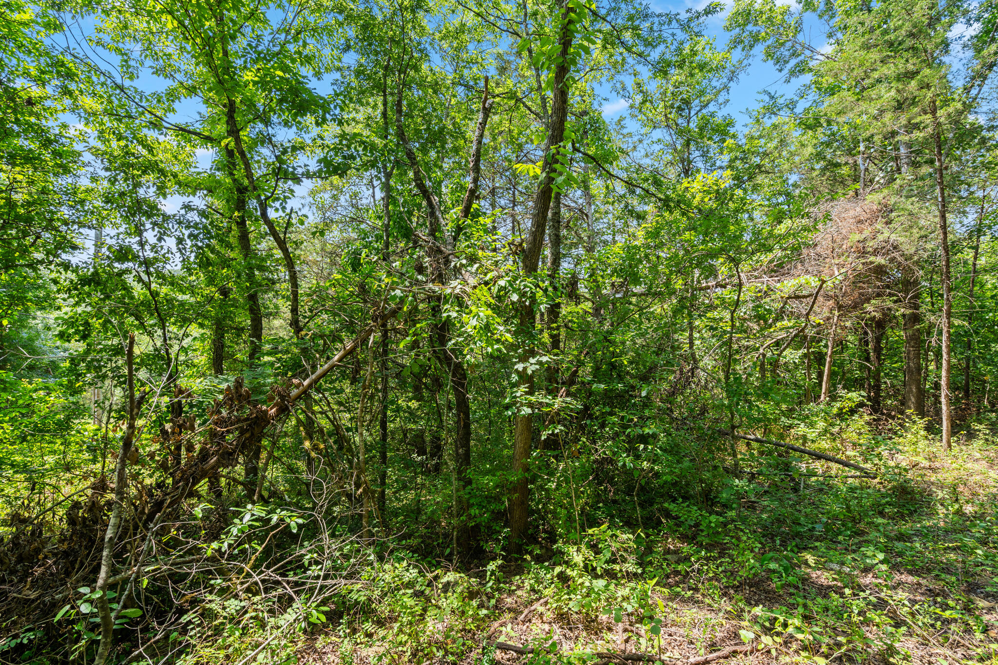 130 Lillian Road Property Photo 24