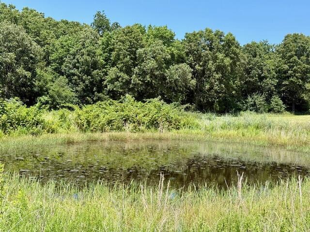 6793 County Road 3400 Property Photo 63
