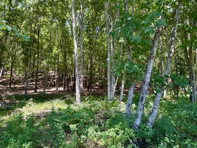 6793 County Road 3400 Property Photo 65