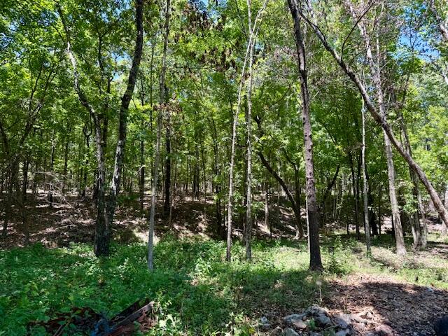 6793 County Road 3400 Property Photo 69