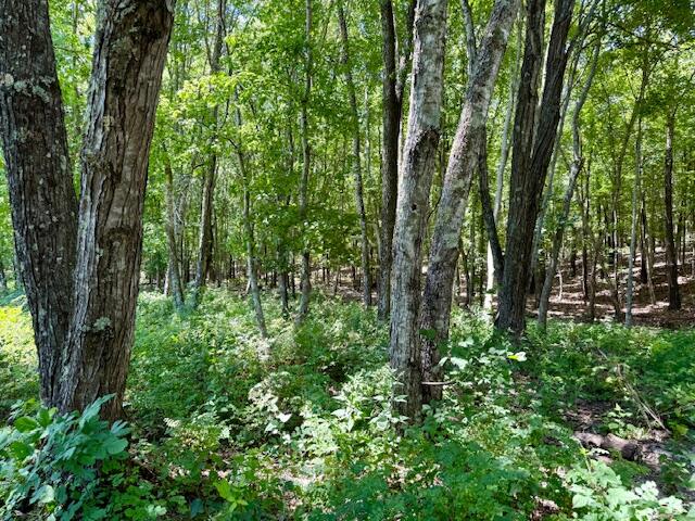 6793 County Road 3400 Property Photo 70