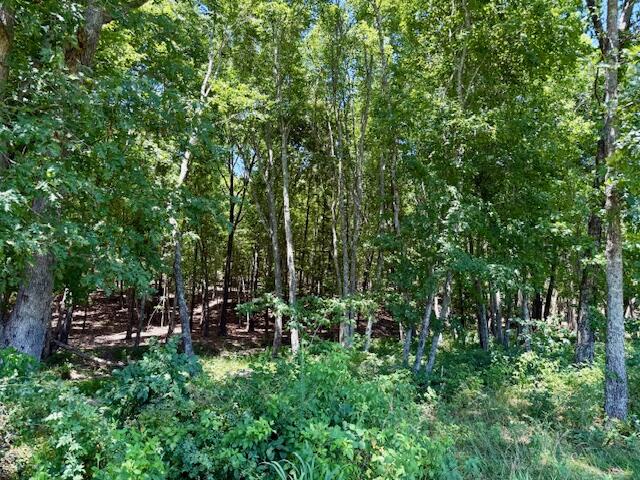 6793 County Road 3400 Property Photo 71