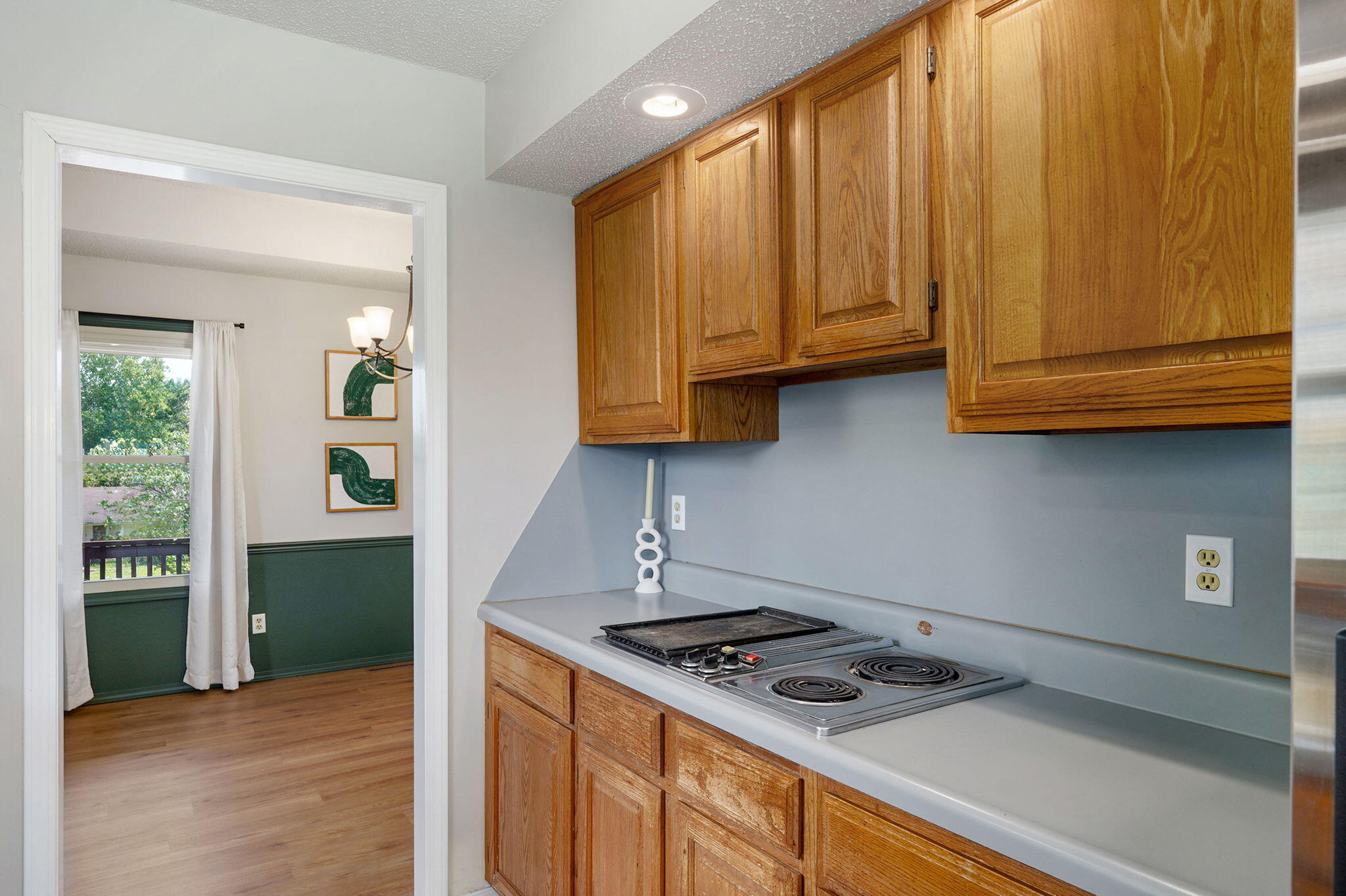 523 East Camino Street Property Photo 13