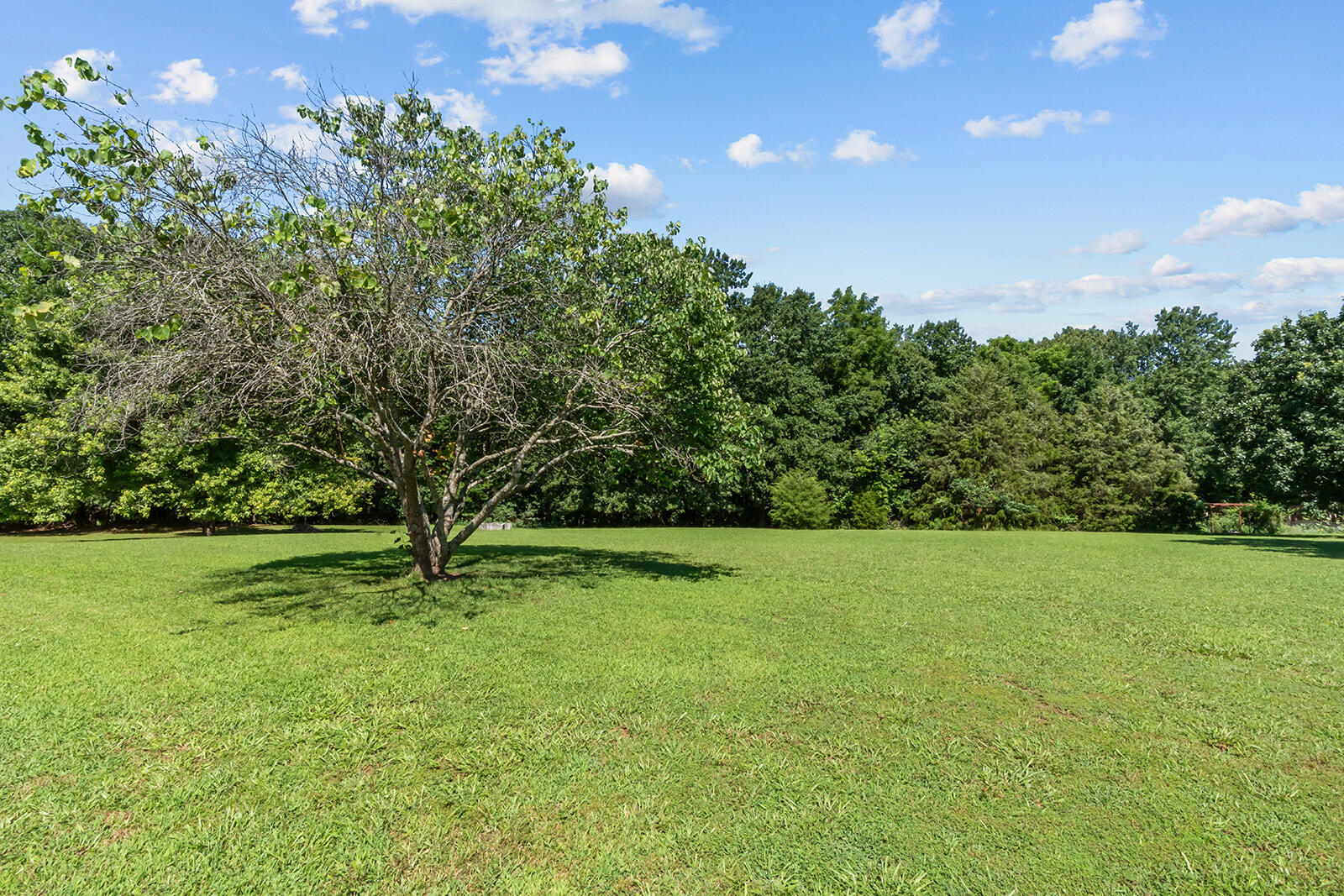 3107 North Bobwhite Drive Property Photo 62