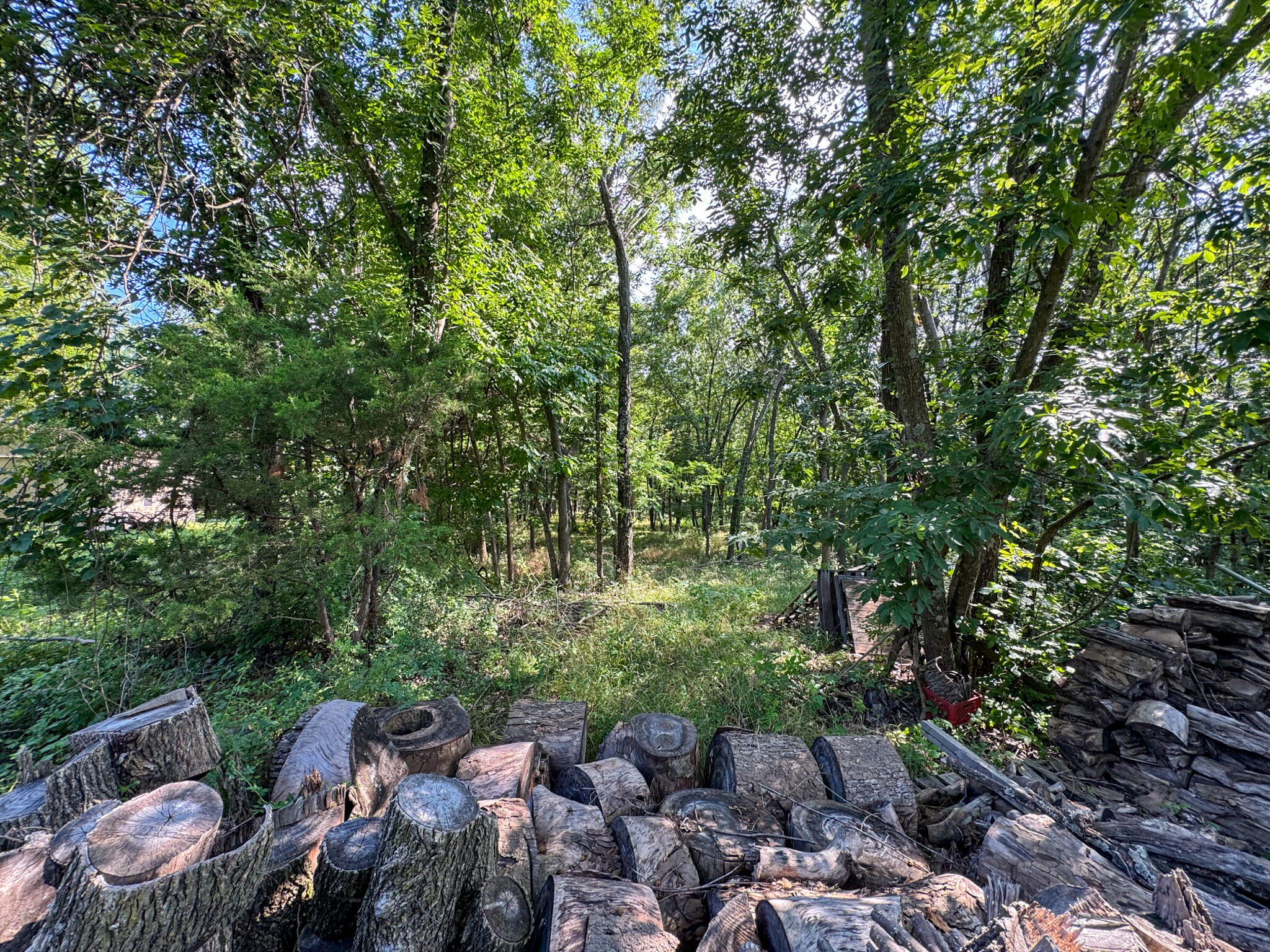 2902 West Farm Road 88 Property Photo 103