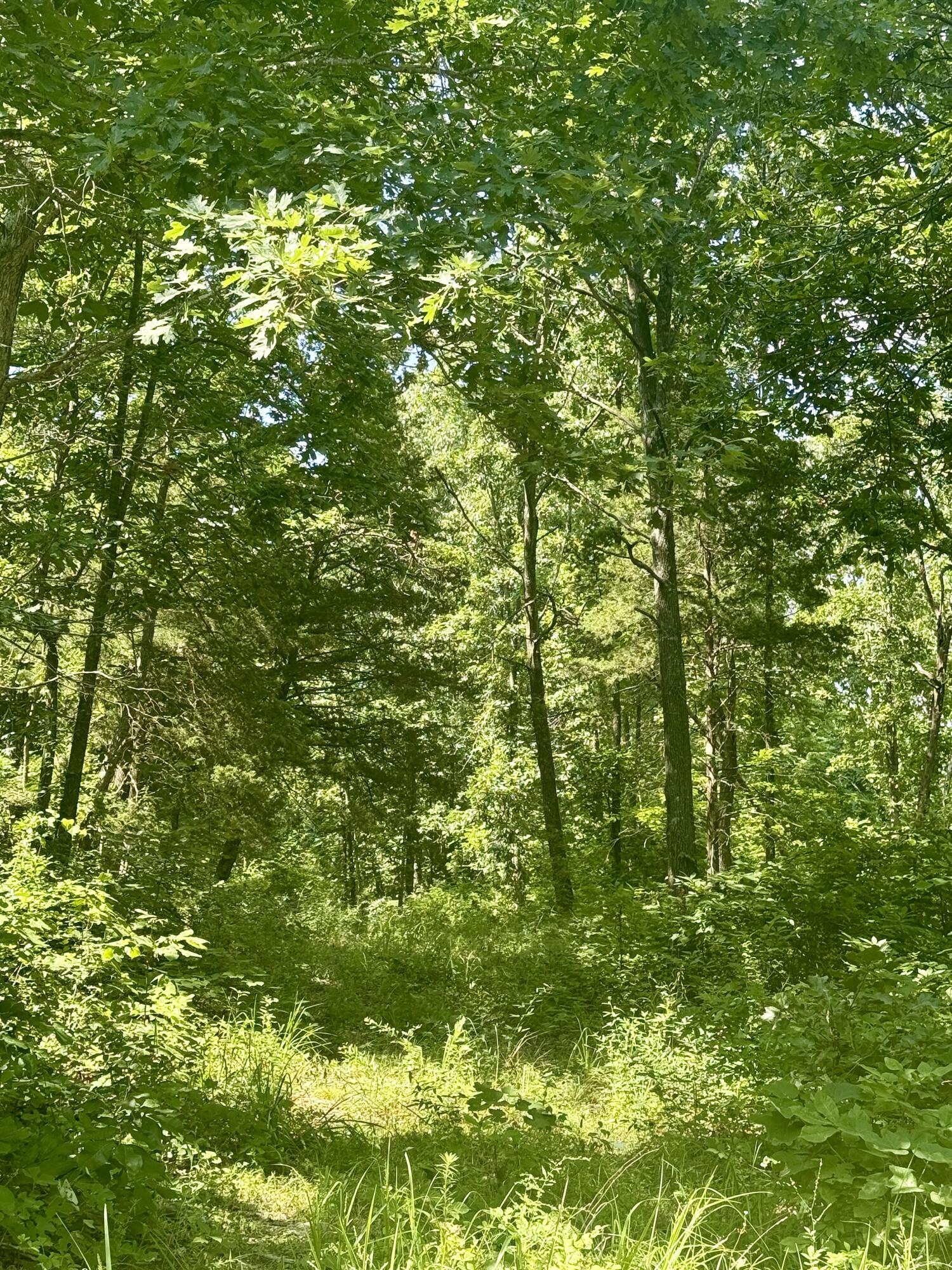 10595 Mill Road Property Photo 25