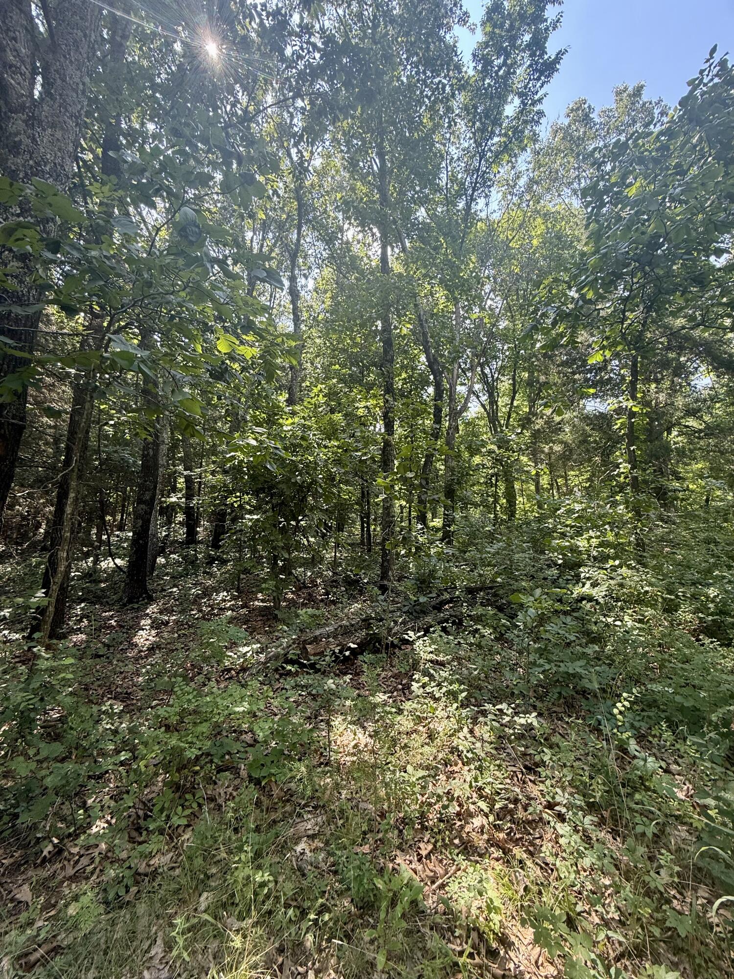 10595 Mill Road Property Photo 26