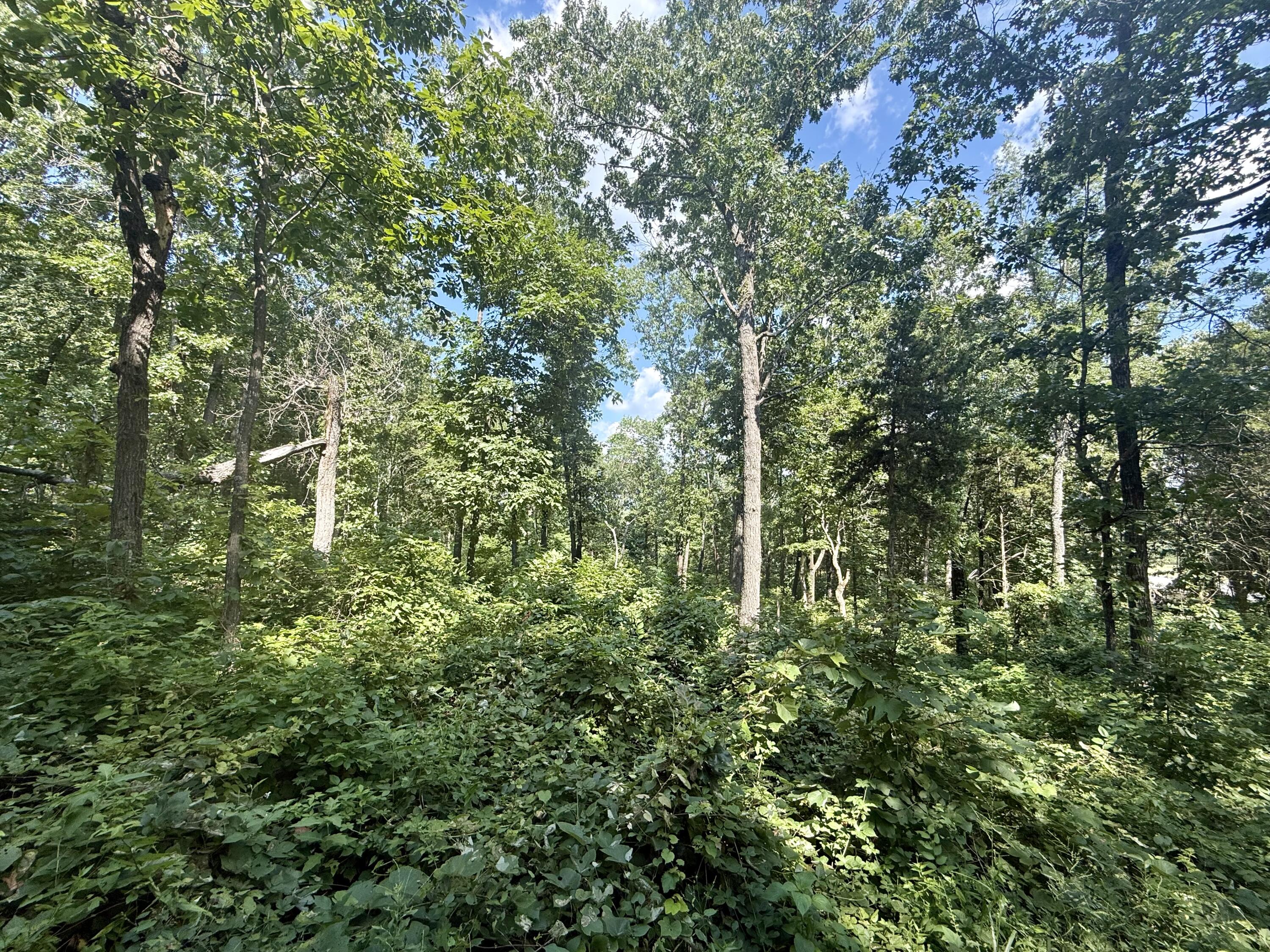 10595 Mill Road Property Photo 27