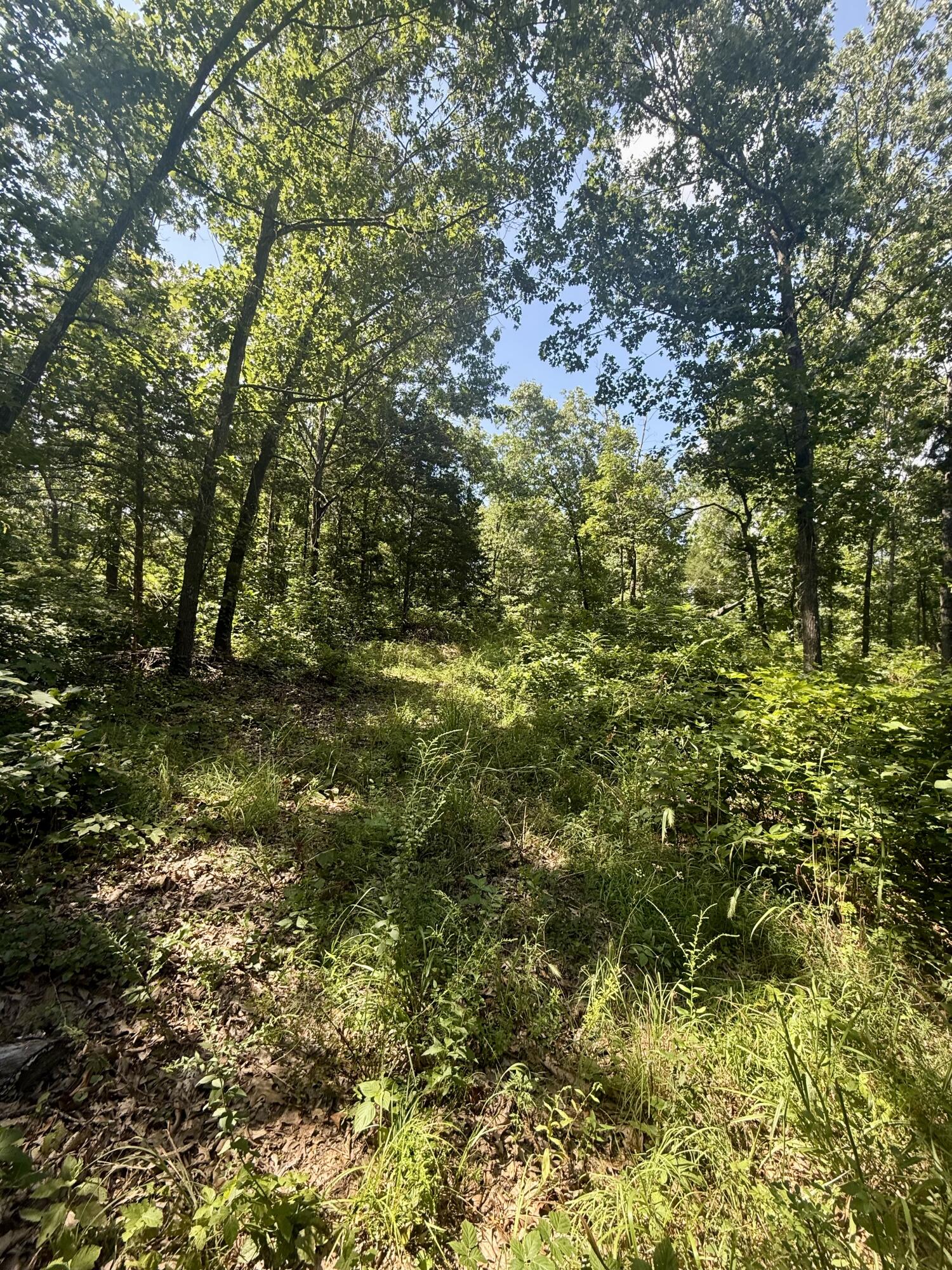 10595 Mill Road Property Photo 28