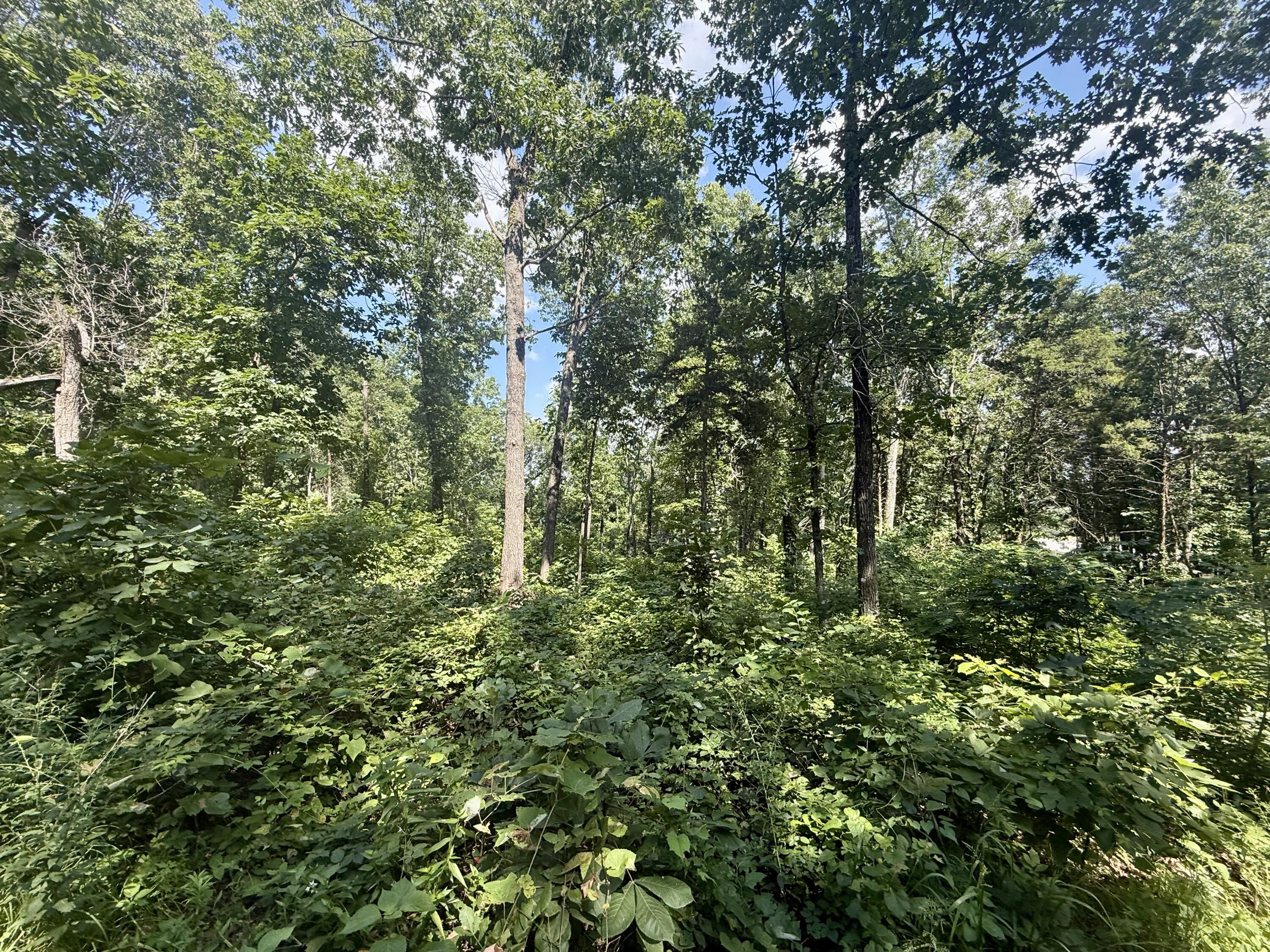 10595 Mill Road Property Photo 33