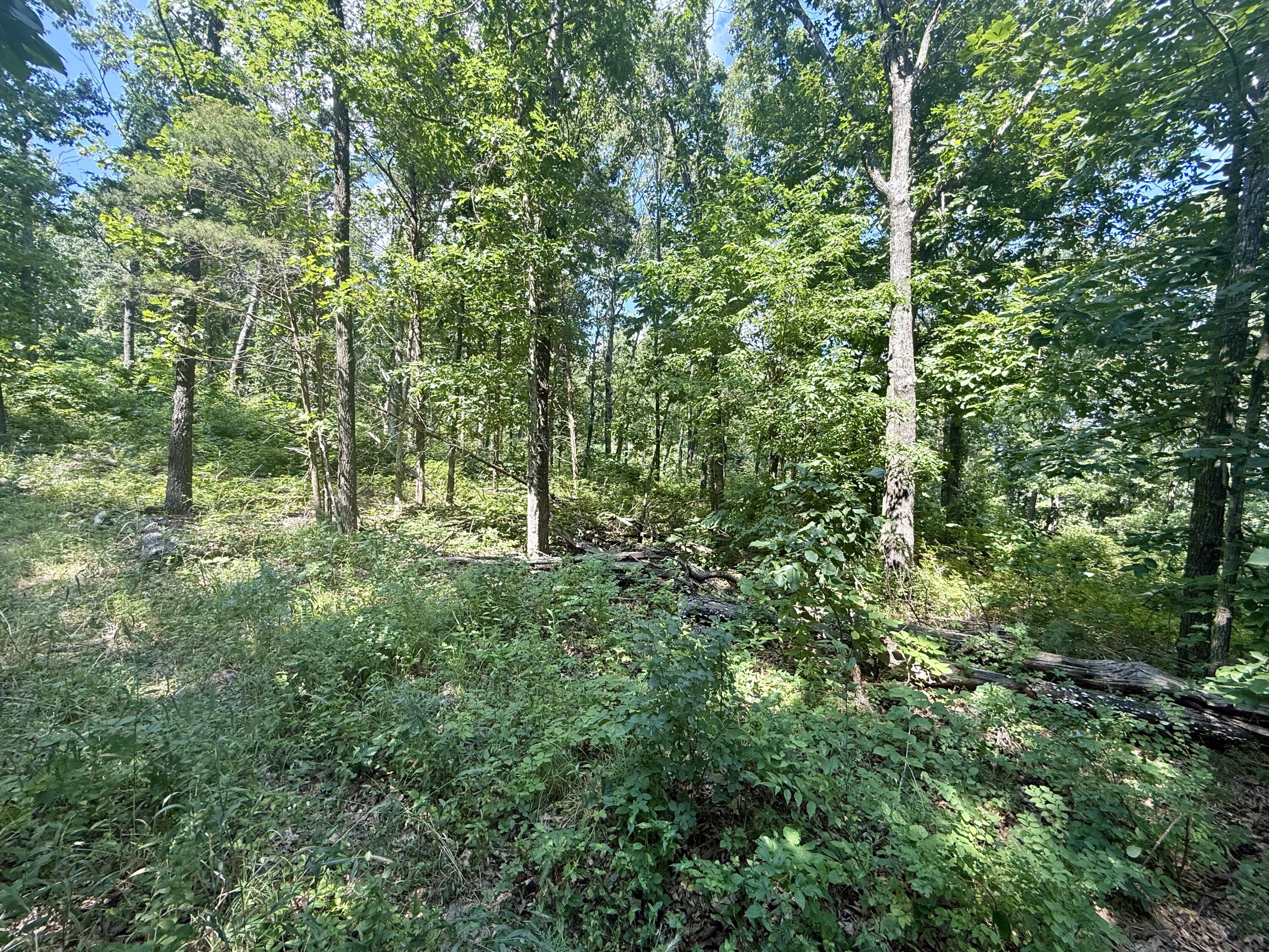 10595 Mill Road Property Photo 34