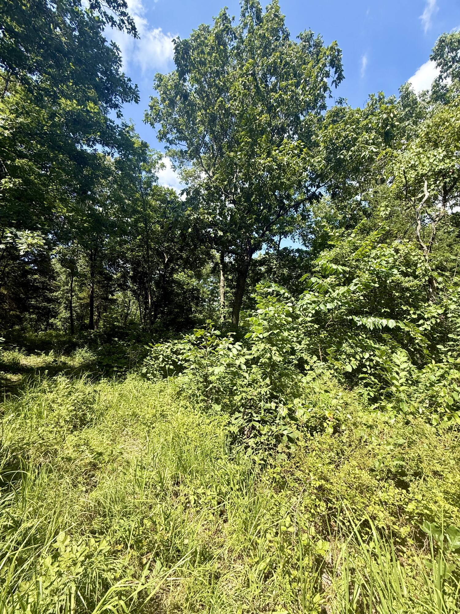 10595 Mill Road Property Photo 35